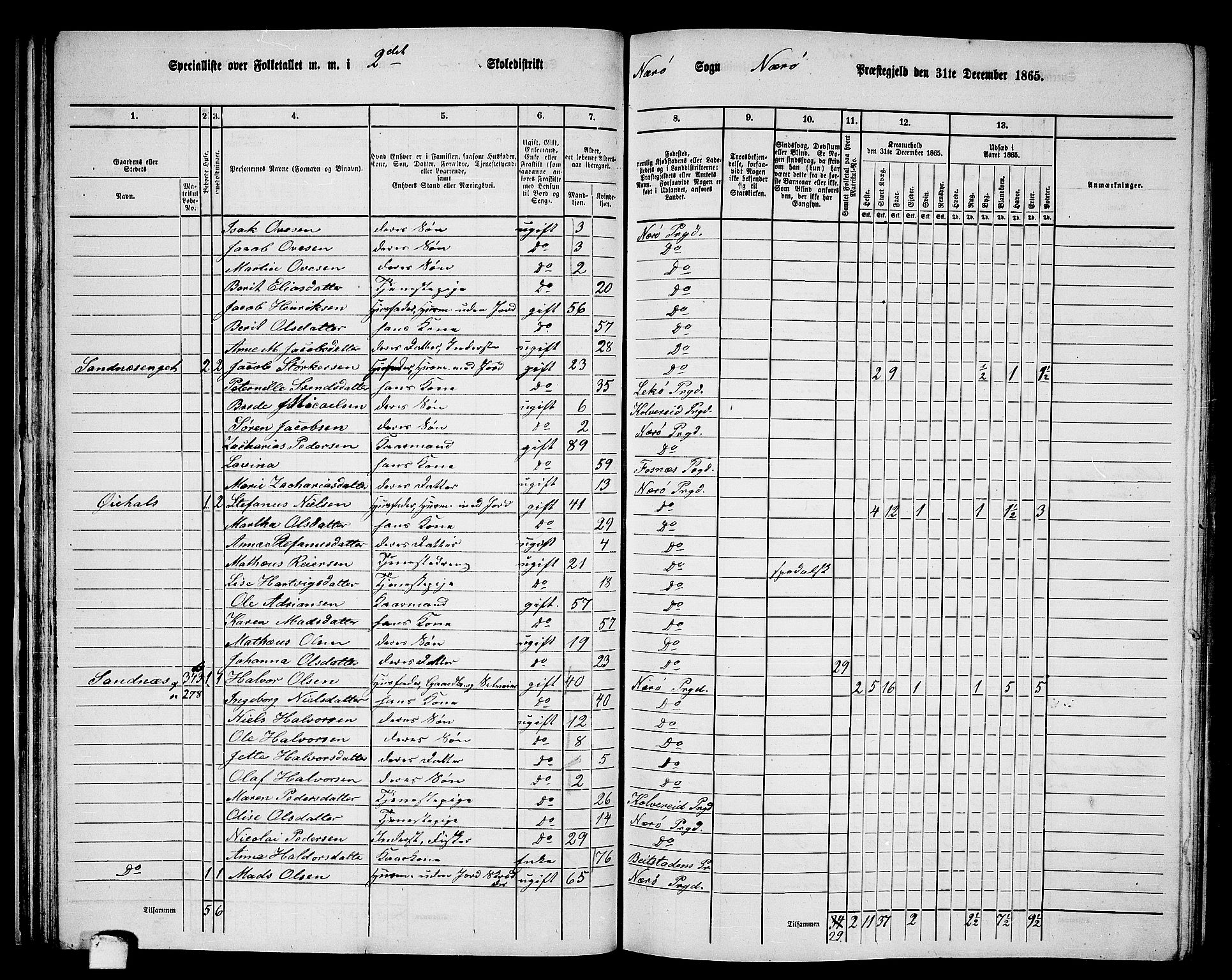 RA, 1865 census for Nærøy, 1865, p. 43