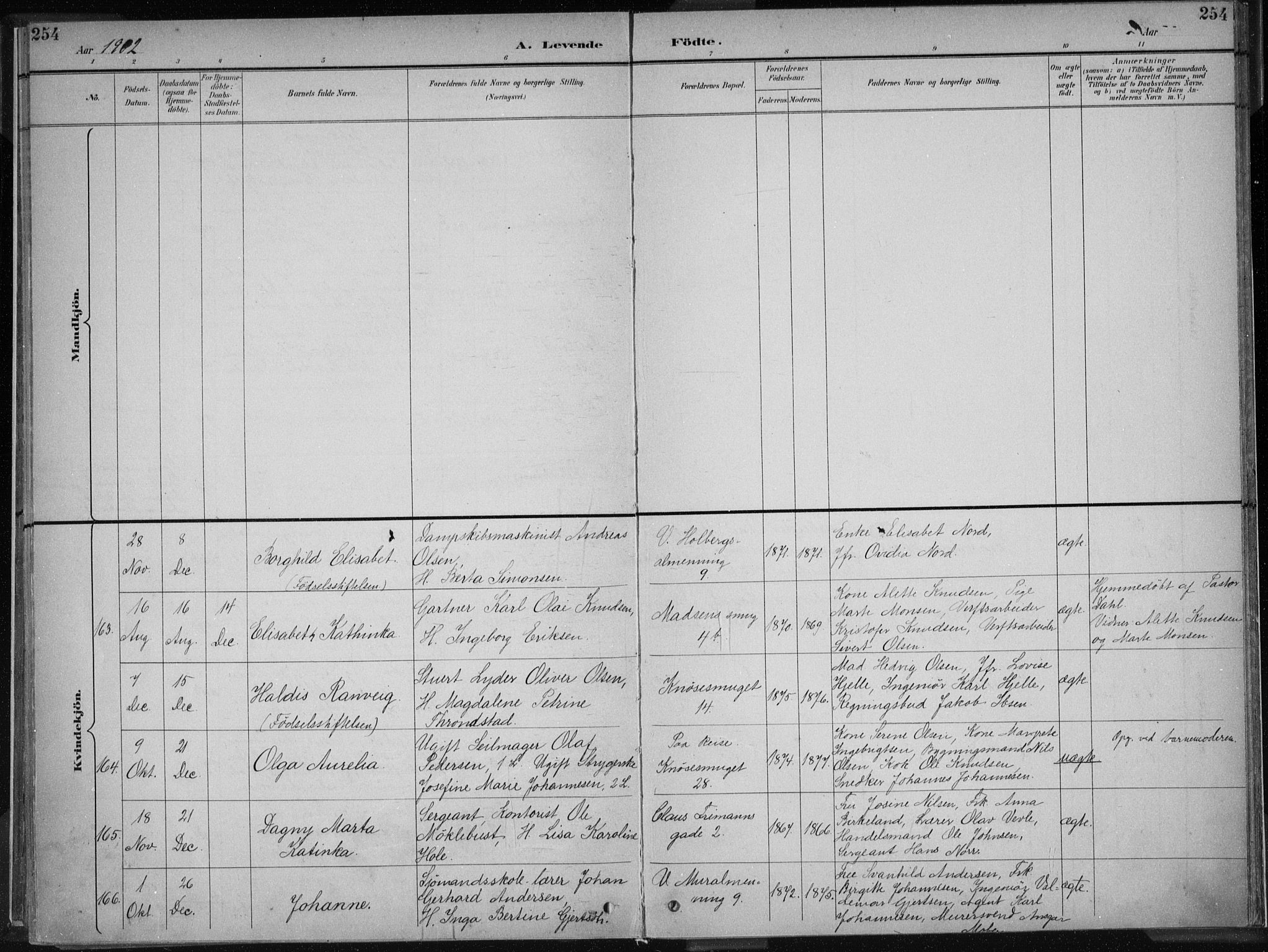 Nykirken Sokneprestembete, AV/SAB-A-77101/H/Haa/L0018: Parish register (official) no. B 6, 1895-1903, p. 254