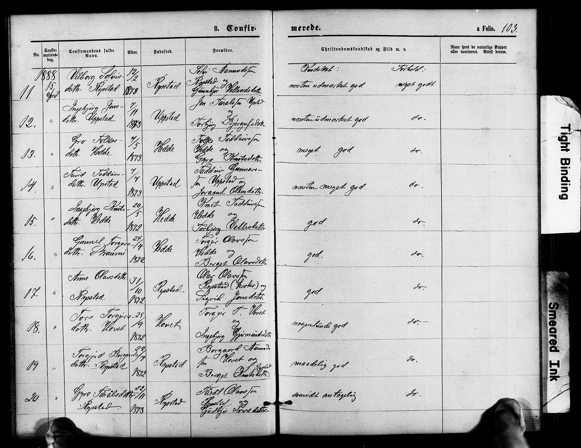 Valle sokneprestkontor, SAK/1111-0044/F/Fb/Fbb/L0002: Parish register (copy) no. B 2, 1875-1921, p. 103