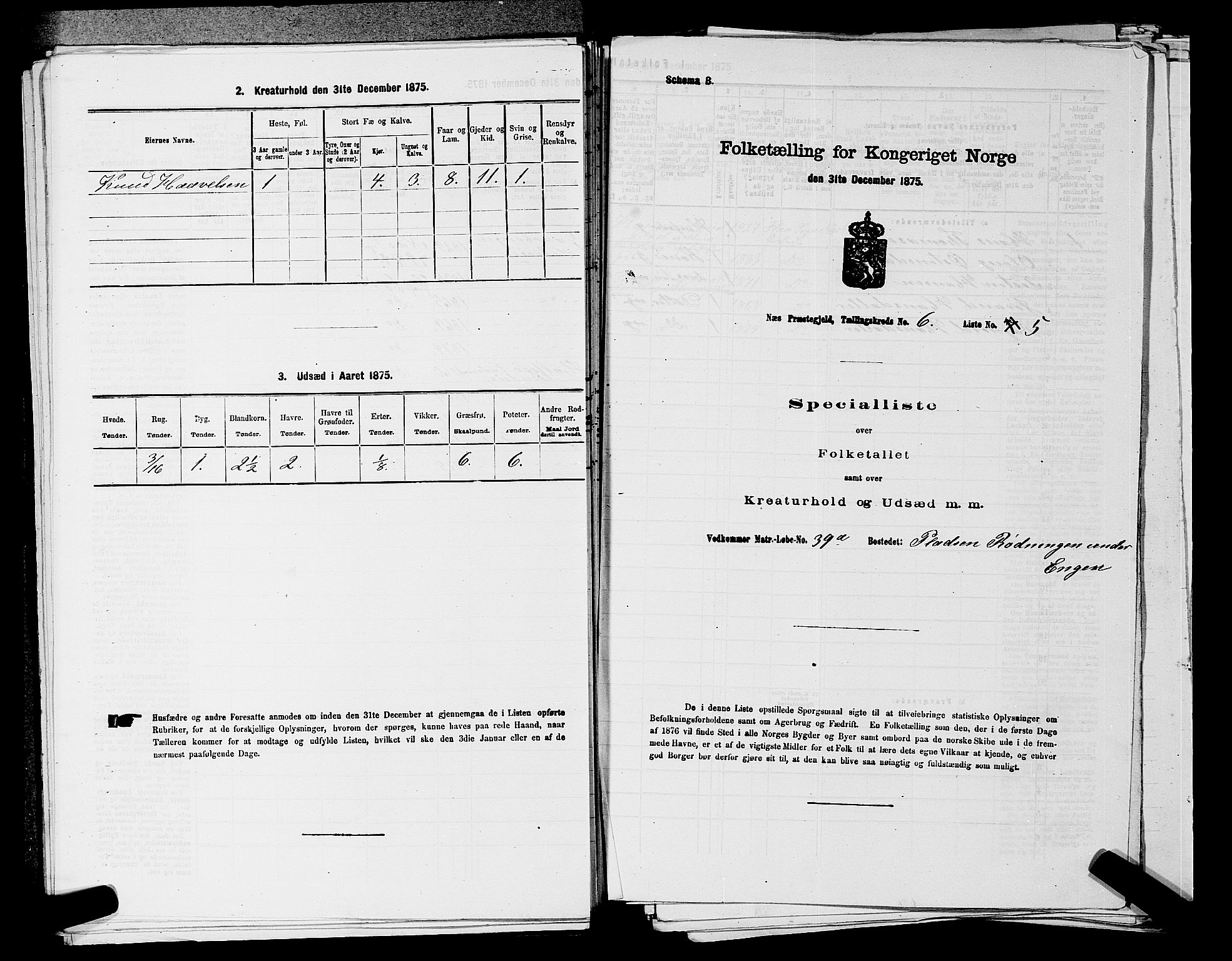 SAKO, 1875 census for 0616P Nes, 1875, p. 1163