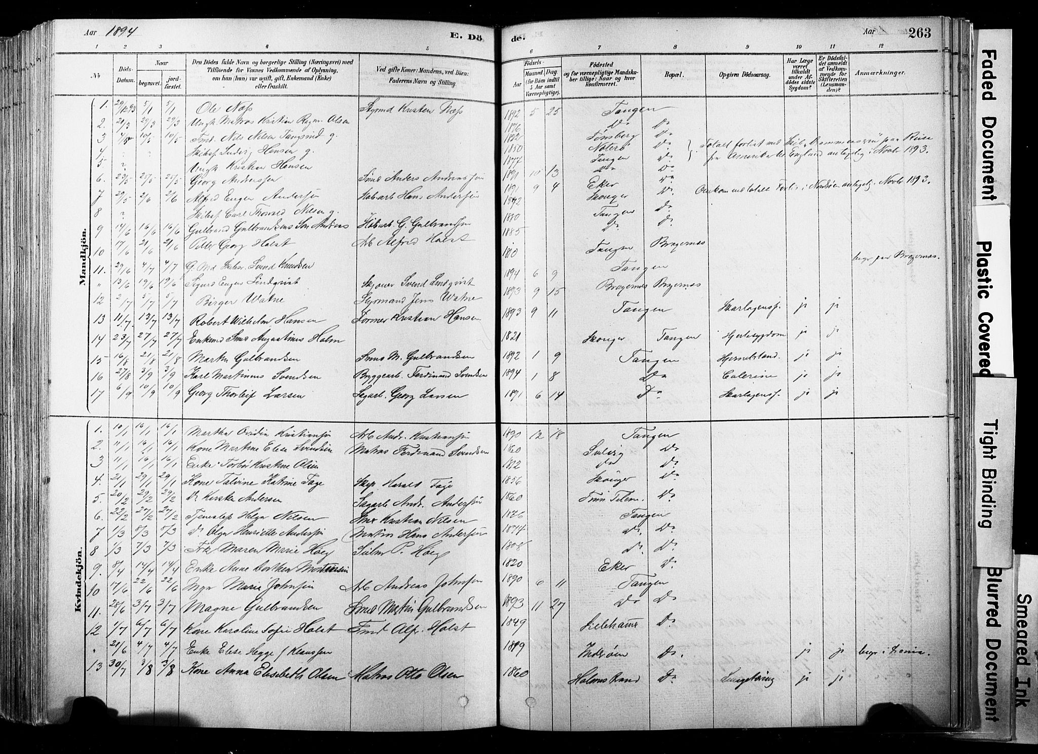 Strømsø kirkebøker, SAKO/A-246/F/Fb/L0006: Parish register (official) no. II 6, 1879-1910, p. 263