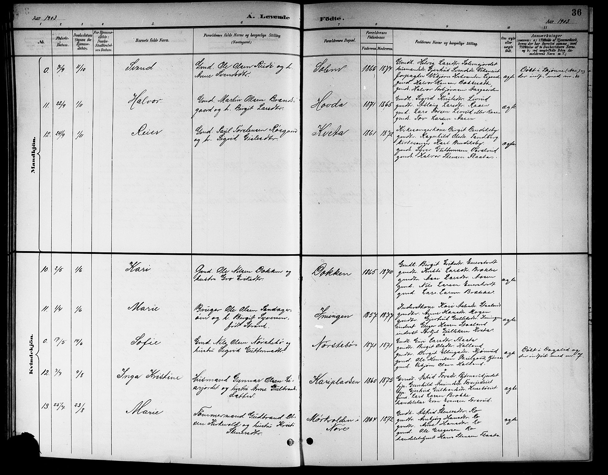 Nore kirkebøker, AV/SAKO-A-238/G/Gb/L0003: Parish register (copy) no. II 3, 1894-1923, p. 36