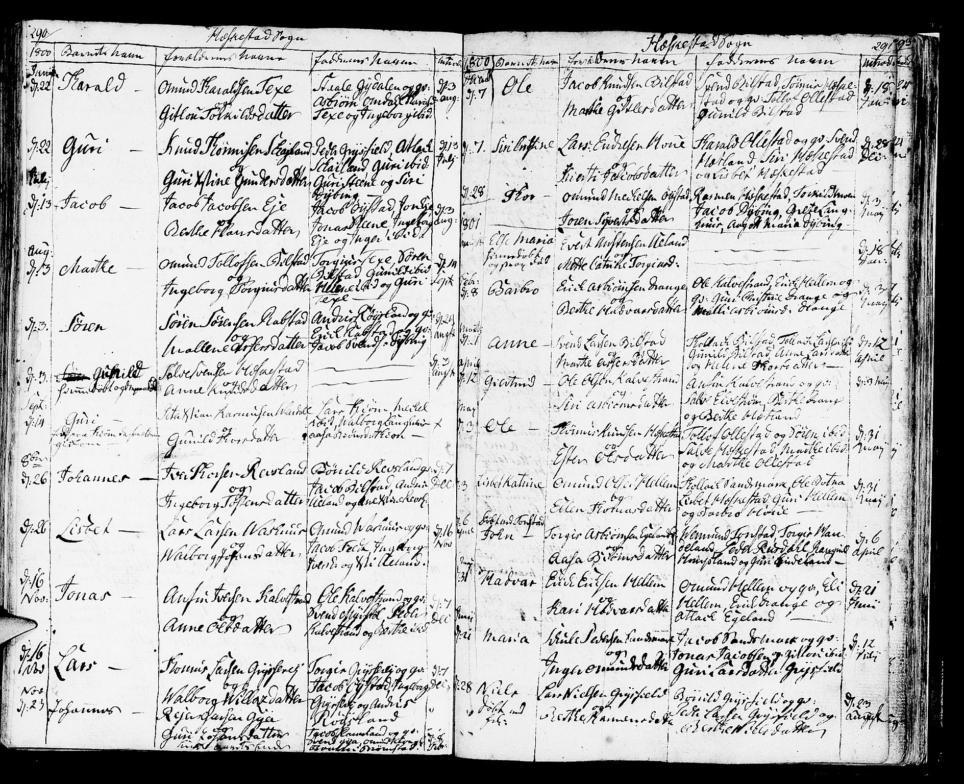 Helleland sokneprestkontor, SAST/A-101810: Parish register (official) no. A 3 /3, 1791-1817, p. 290-291