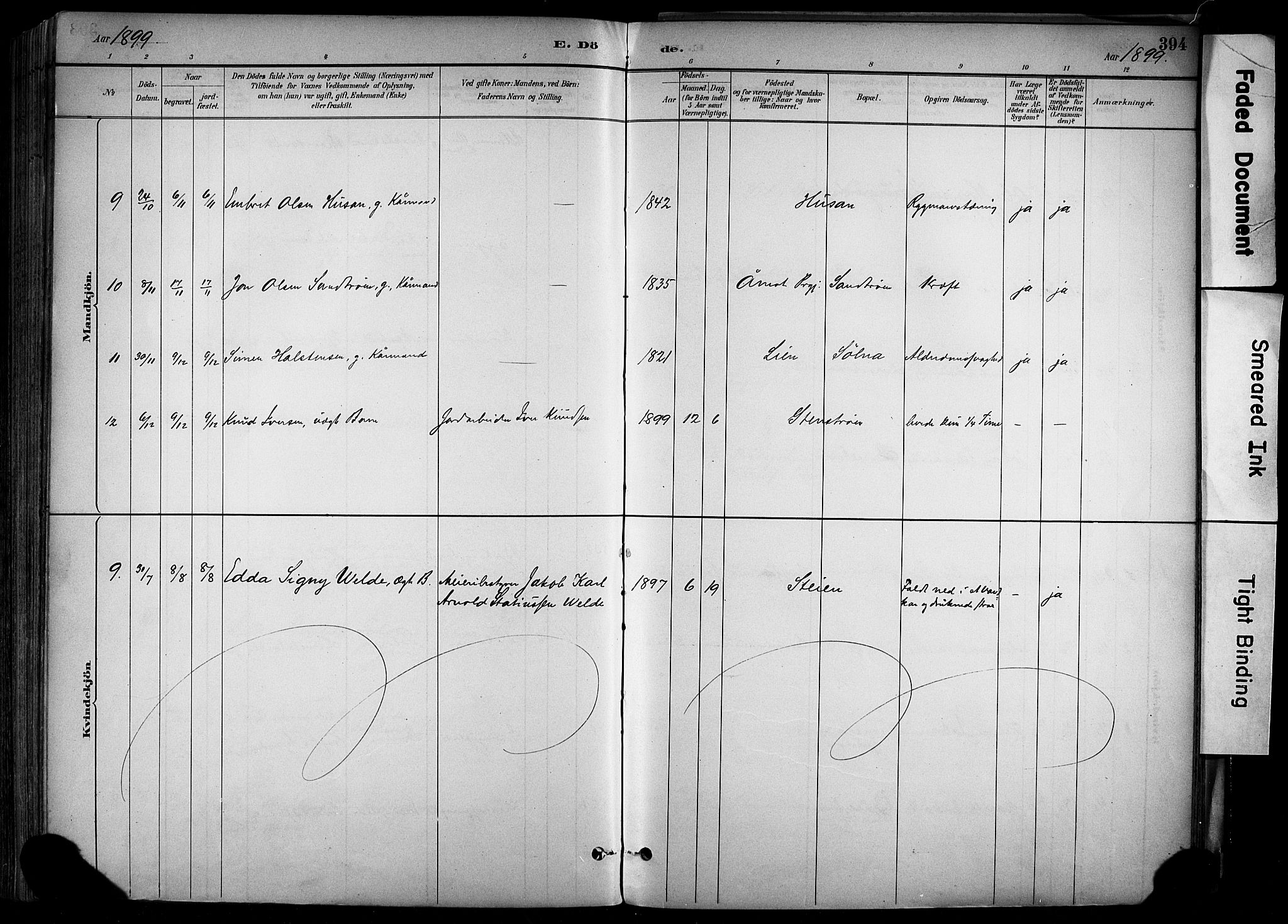 Alvdal prestekontor, AV/SAH-PREST-060/H/Ha/Haa/L0002: Parish register (official) no. 2, 1883-1906, p. 394