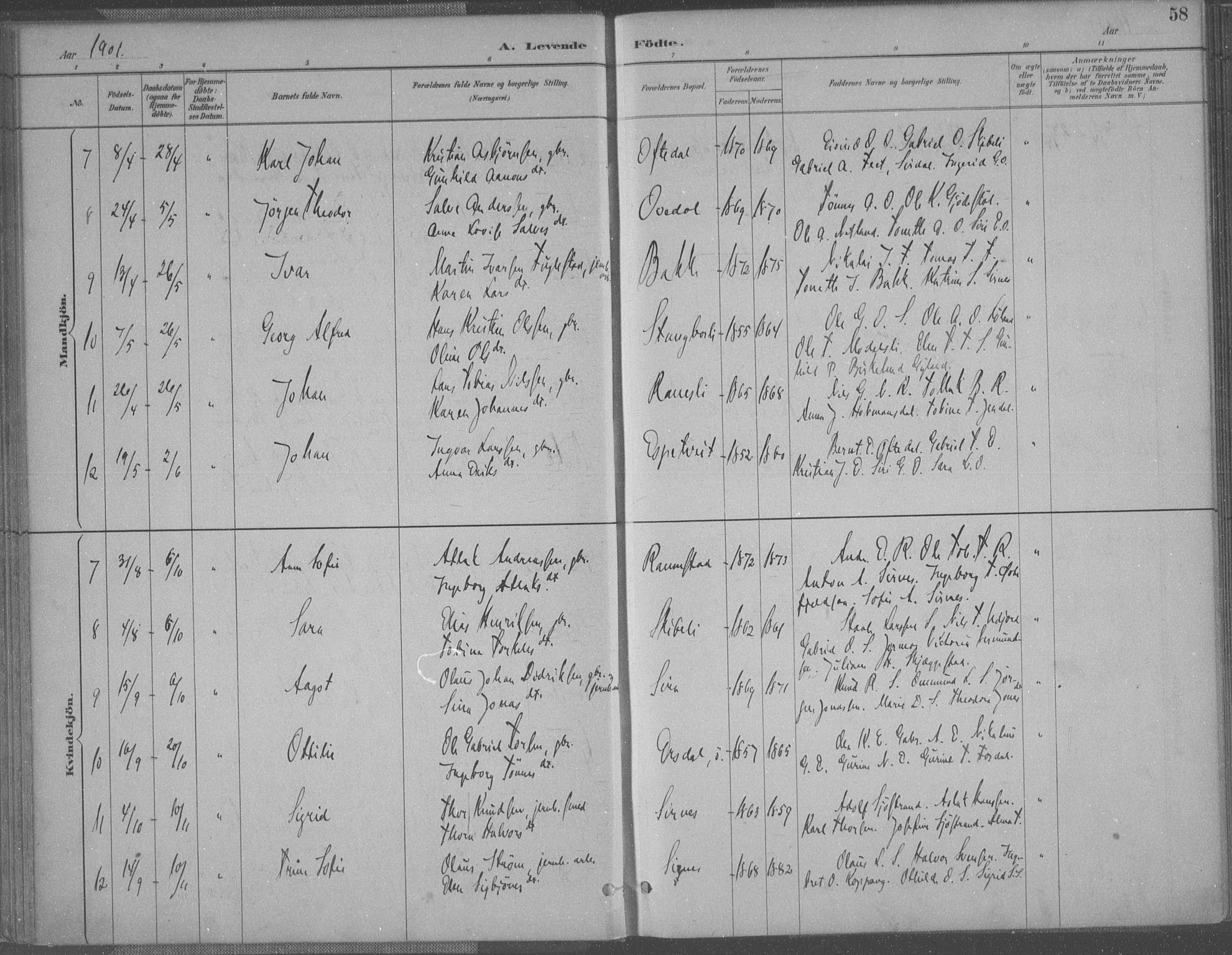 Bakke sokneprestkontor, AV/SAK-1111-0002/F/Fa/Faa/L0008: Parish register (official) no. A 8, 1887-1911, p. 58