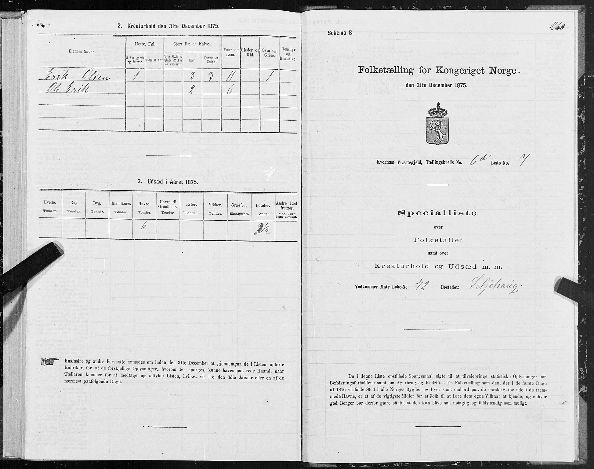 SAT, 1875 census for 1553P Kvernes, 1875, p. 3260