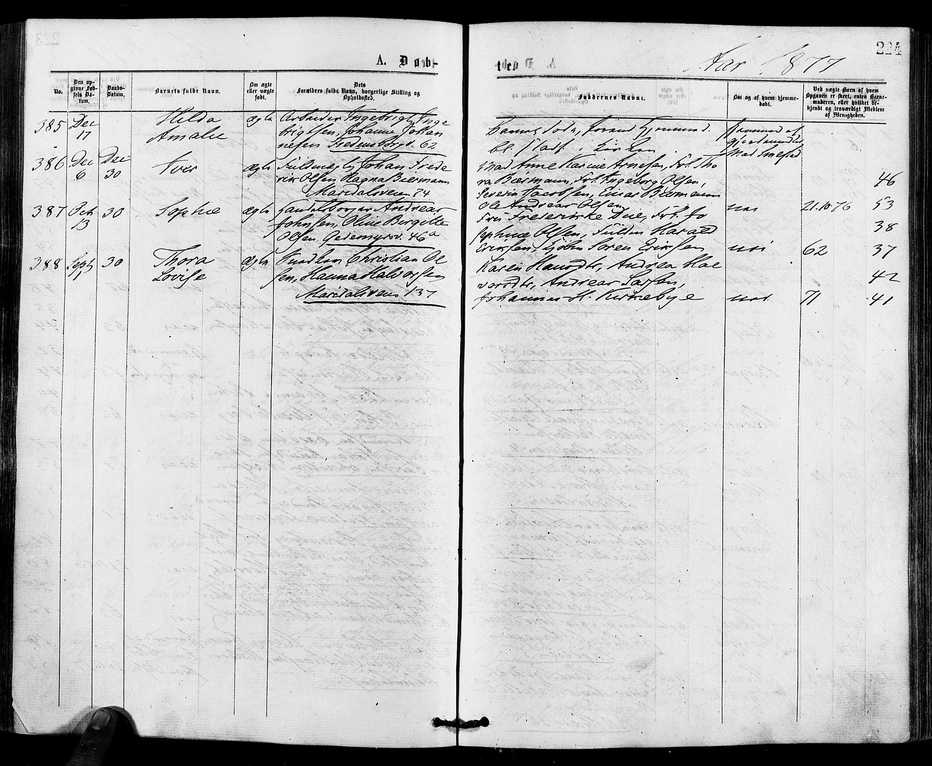 Gamle Aker prestekontor Kirkebøker, AV/SAO-A-10617a/F/L0004: Parish register (official) no. 4, 1872-1879, p. 224