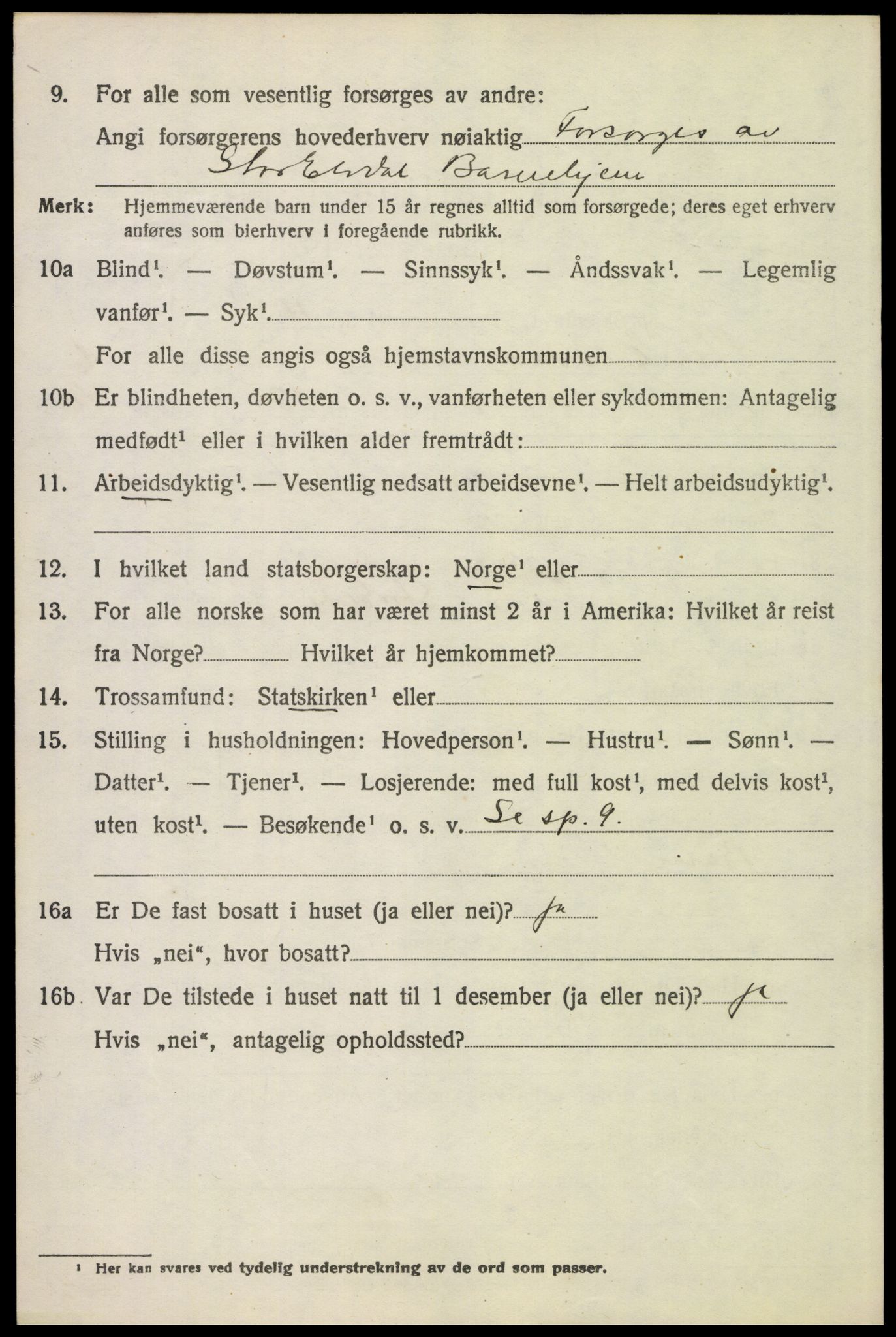 SAH, 1920 census for Stor-Elvdal, 1920, p. 4919