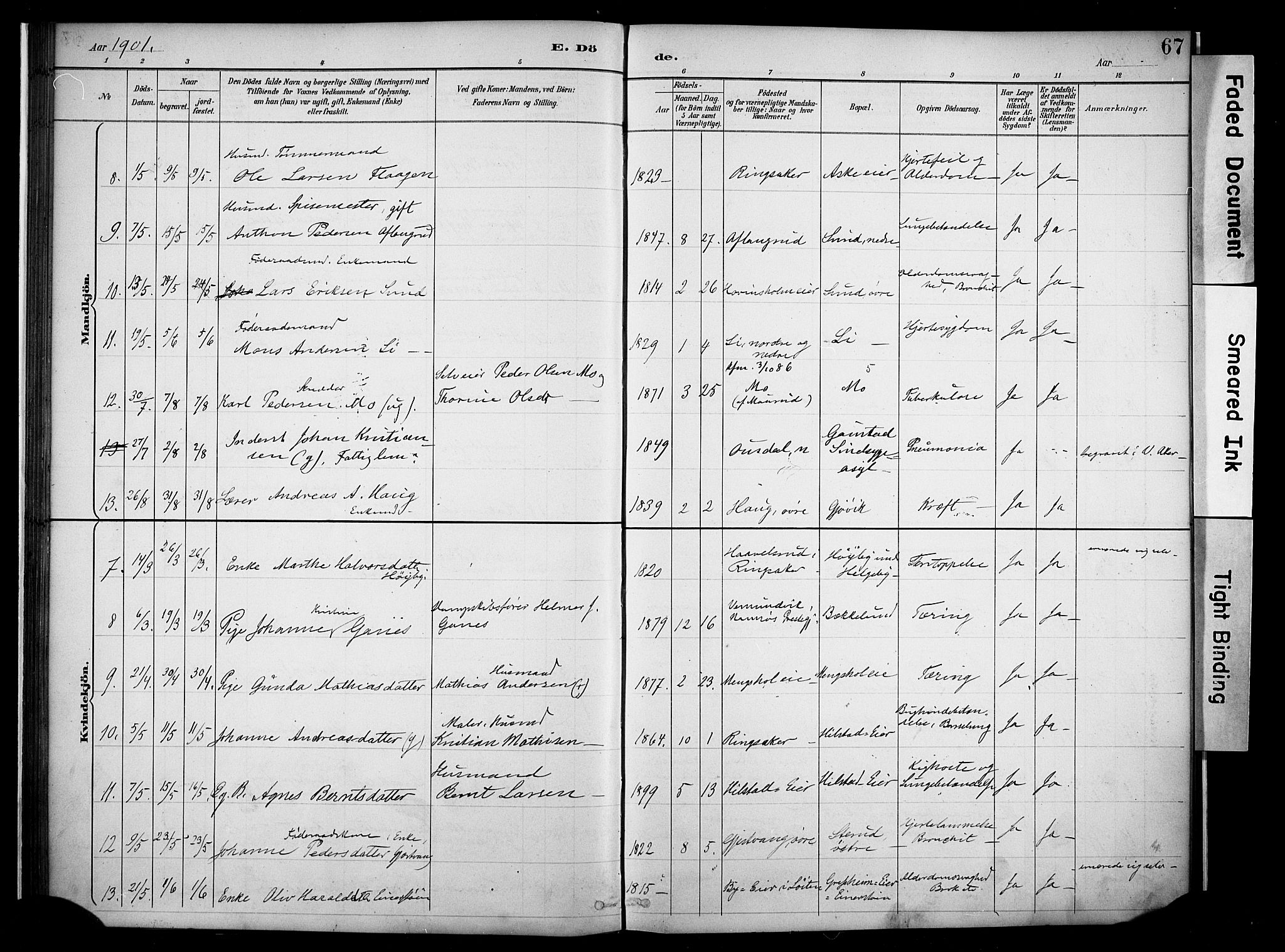 Nes prestekontor, Hedmark, AV/SAH-PREST-020/K/Ka/L0011: Parish register (official) no. 11, 1887-1905, p. 67