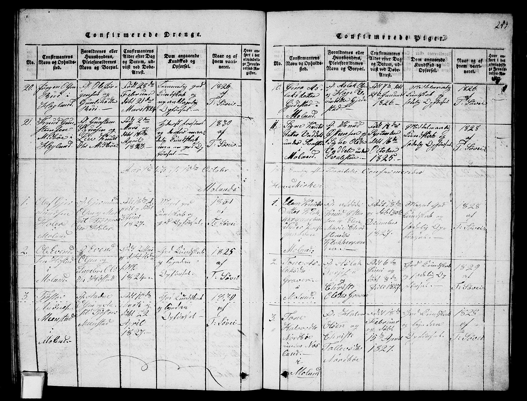 Fyresdal kirkebøker, SAKO/A-263/G/Ga/L0002: Parish register (copy) no. I 2, 1815-1857, p. 253