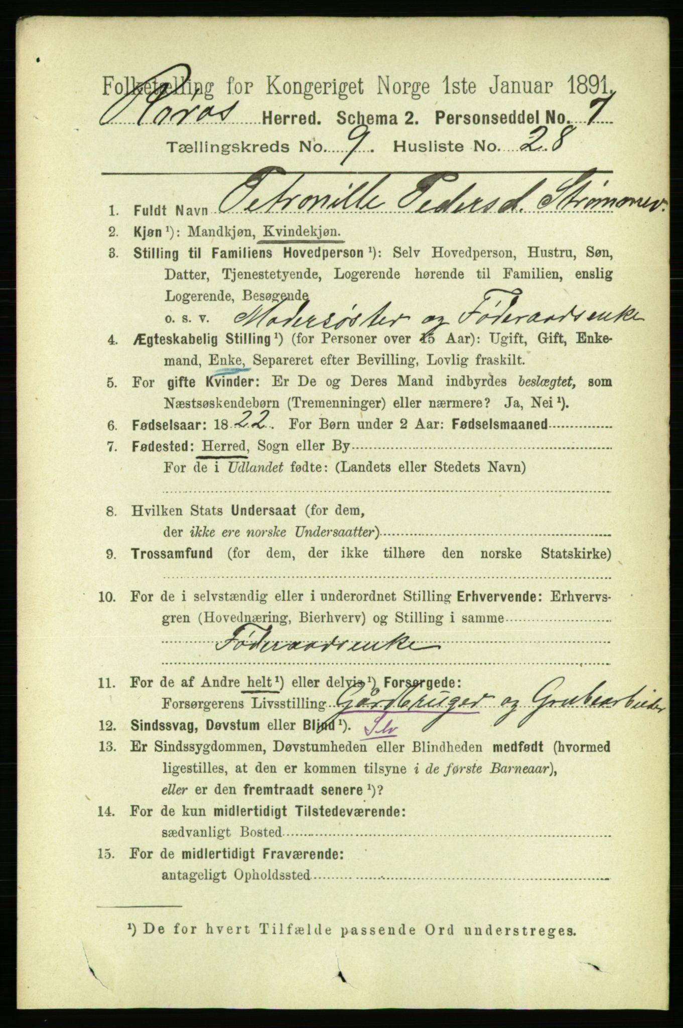 RA, 1891 census for 1640 Røros, 1891, p. 1972