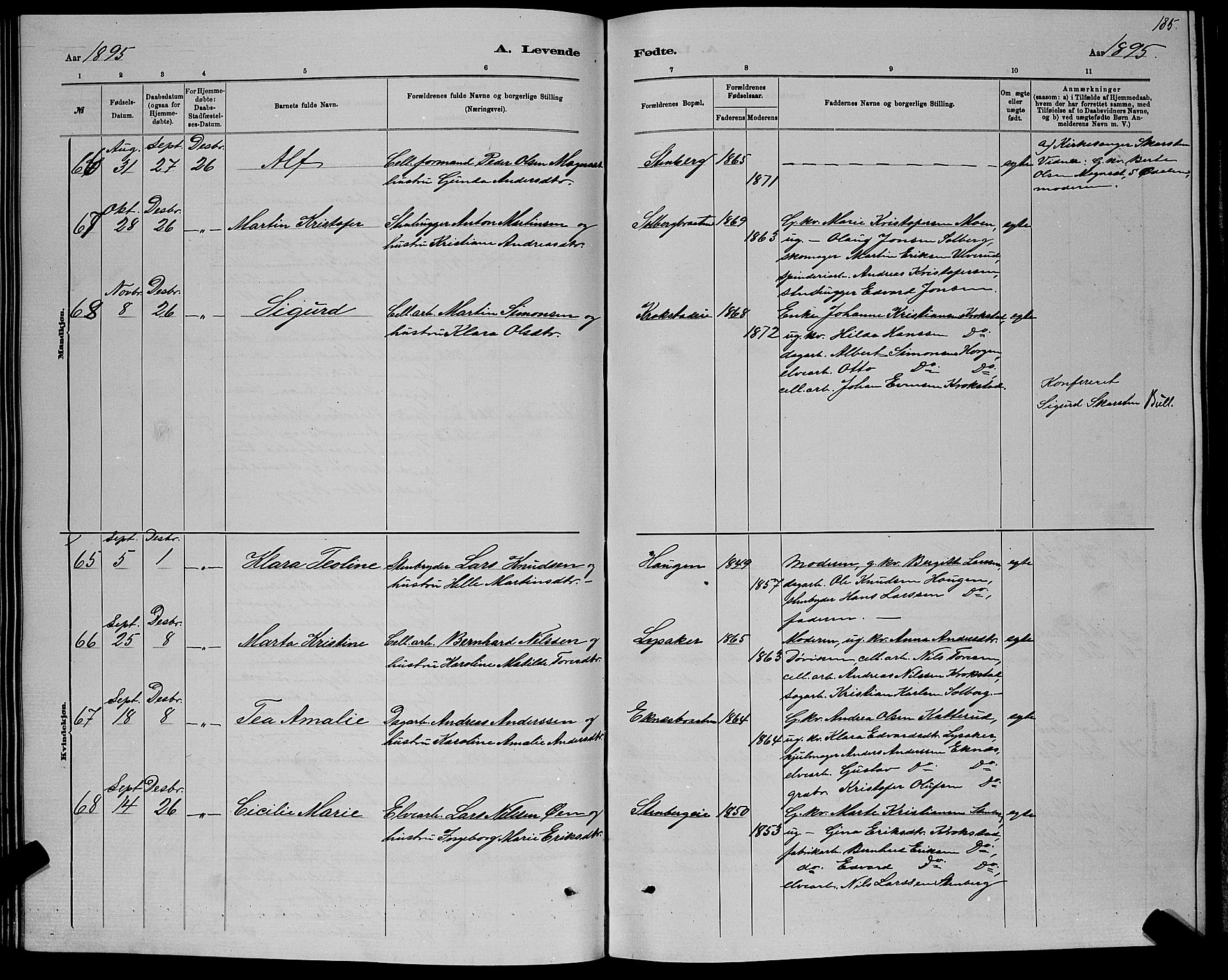 Nedre Eiker kirkebøker, AV/SAKO-A-612/G/Ga/L0002: Parish register (copy) no. 2, 1880-1896, p. 185