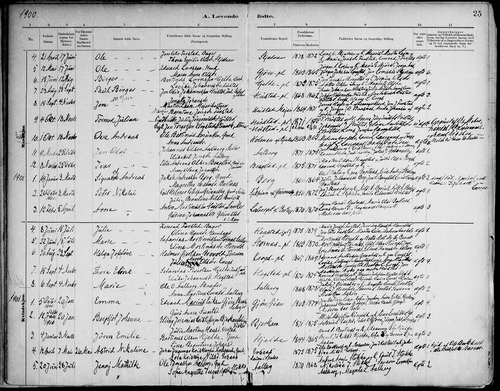 Ministerialprotokoller, klokkerbøker og fødselsregistre - Nord-Trøndelag, SAT/A-1458/732/L0316: Parish register (official) no. 732A01, 1879-1921, p. 25