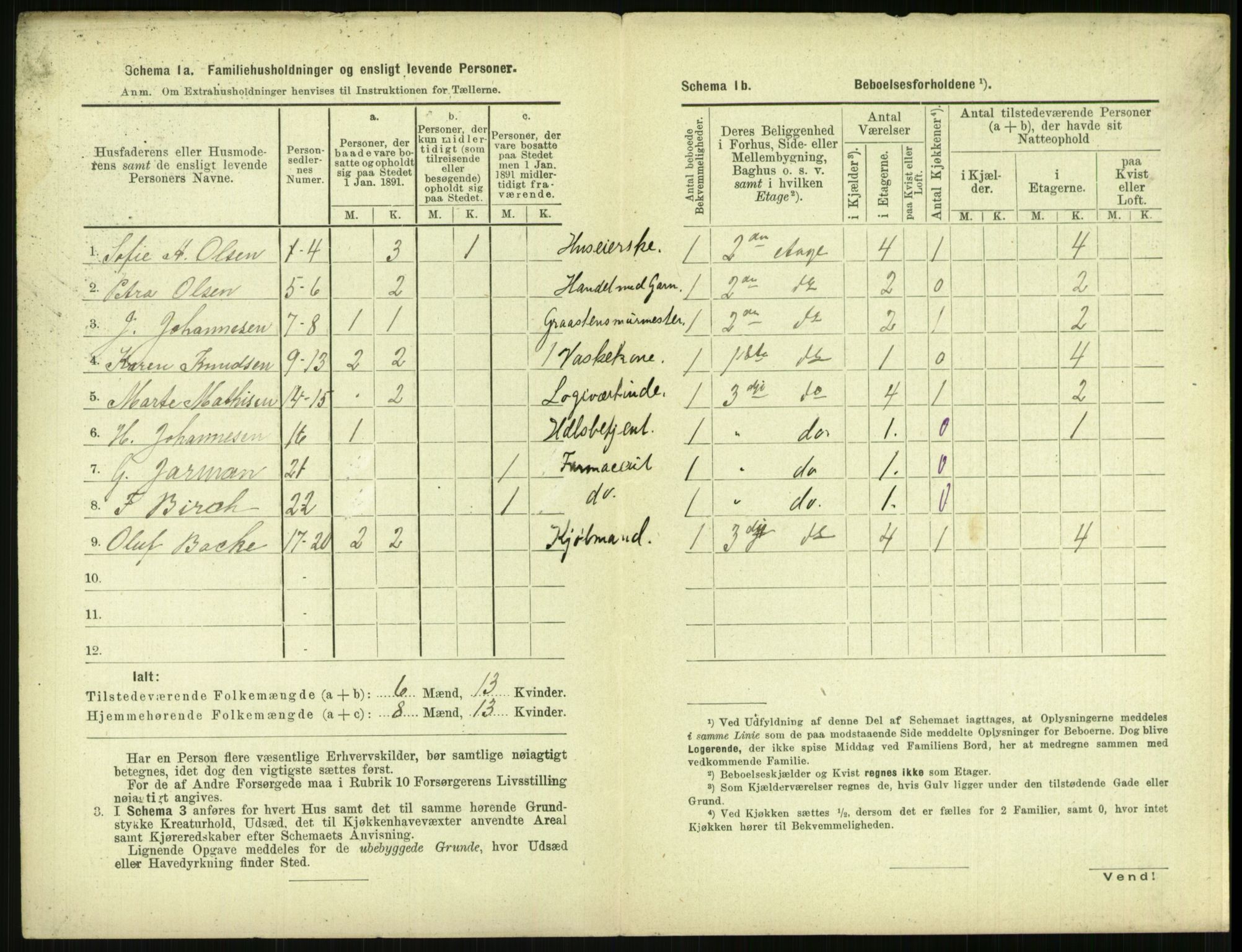 RA, 1891 census for 0806 Skien, 1891, p. 1045