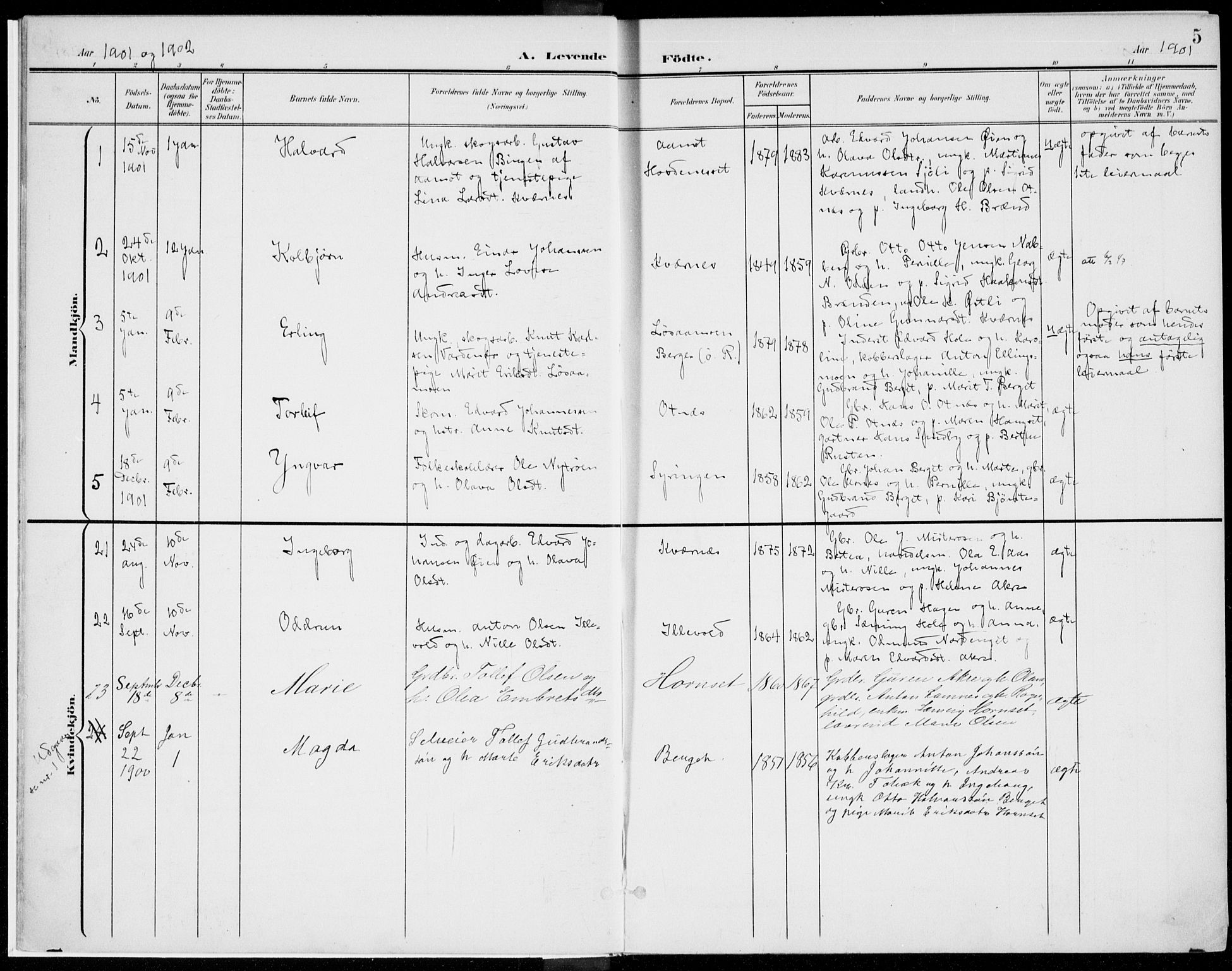 Rendalen prestekontor, AV/SAH-PREST-054/H/Ha/Haa/L0011: Parish register (official) no. 11, 1901-1925, p. 5