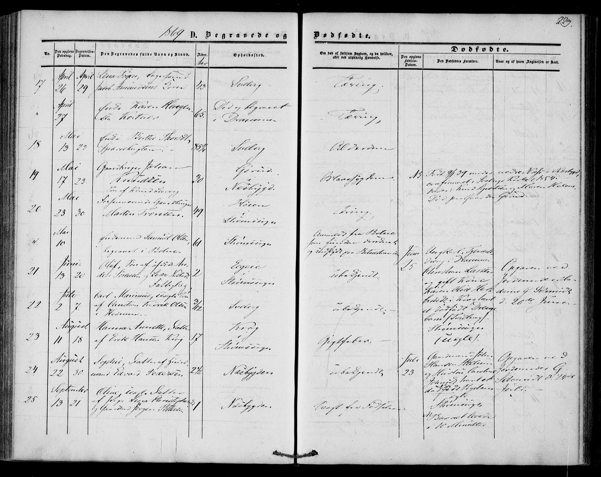 Strømm kirkebøker, AV/SAKO-A-322/F/Fa/L0001: Parish register (official) no. I 1, 1861-1869, p. 229