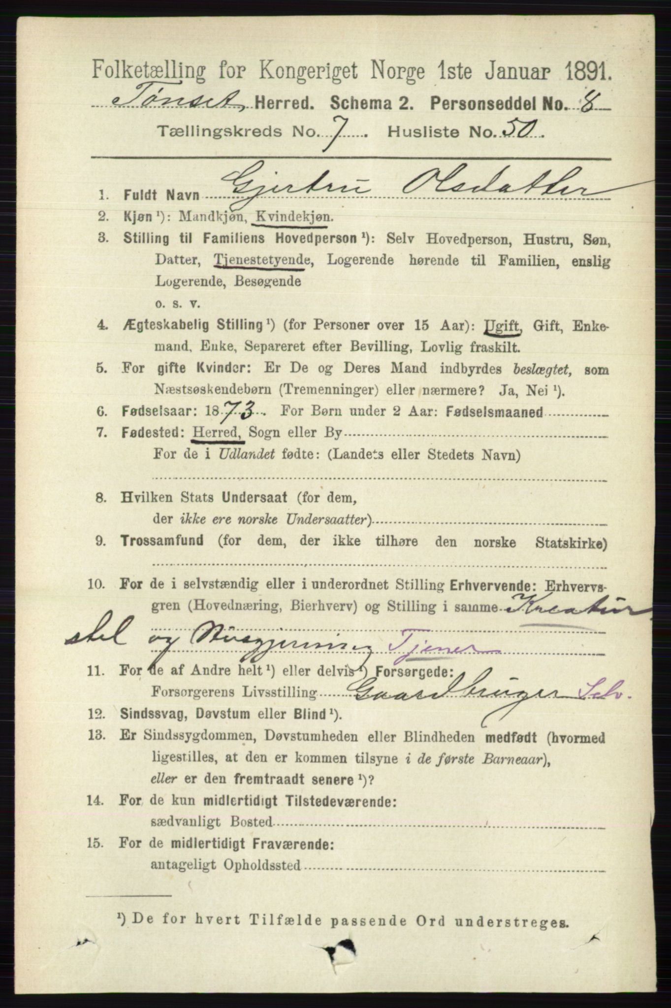 RA, 1891 census for 0437 Tynset, 1891, p. 2028