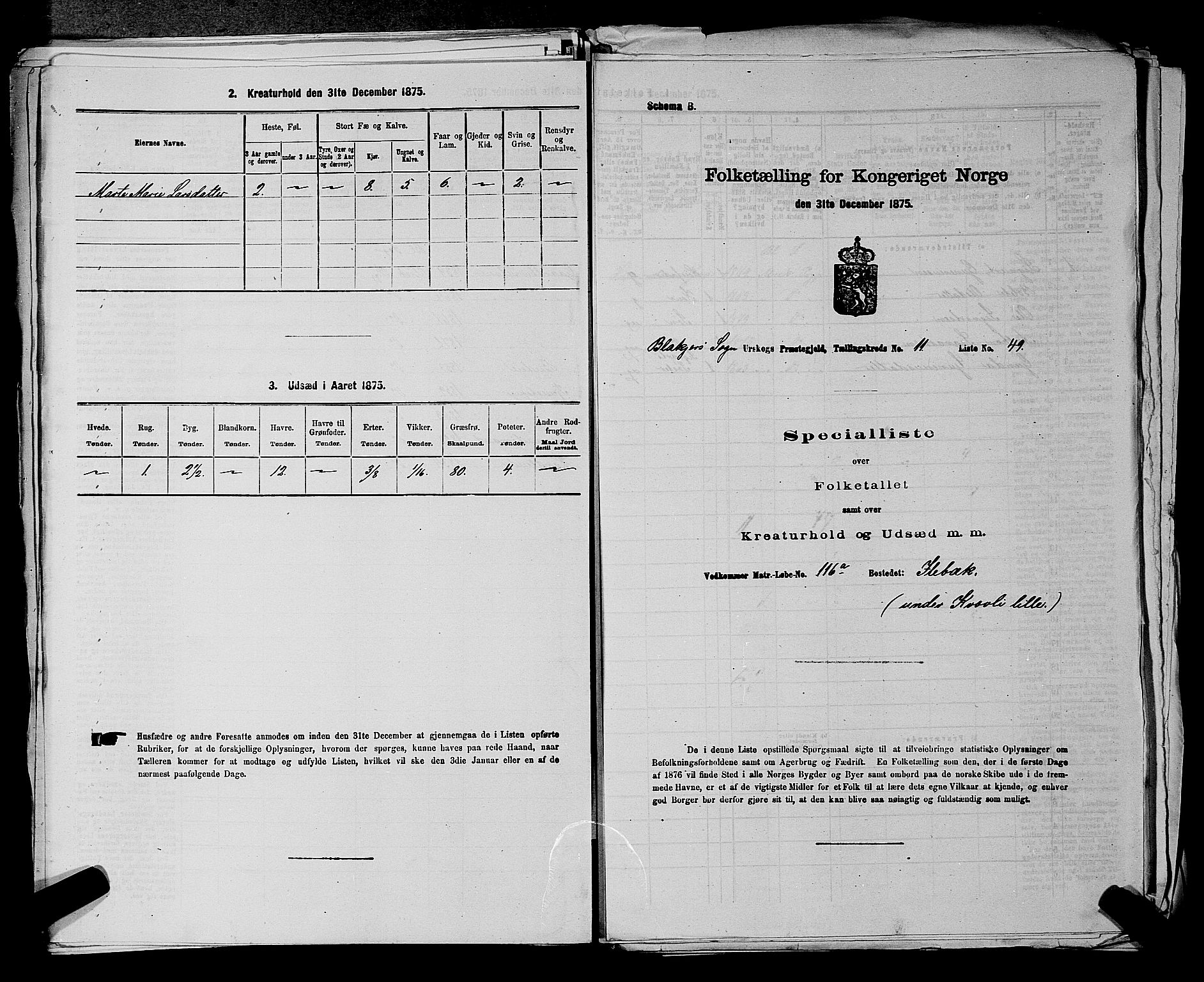 RA, 1875 census for 0224P Aurskog, 1875, p. 1157