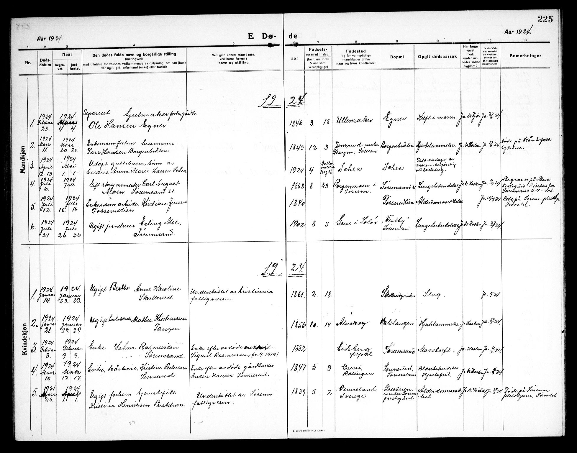 Sørum prestekontor Kirkebøker, AV/SAO-A-10303/G/Ga/L0008: Parish register (copy) no. I 8, 1917-1934, p. 225