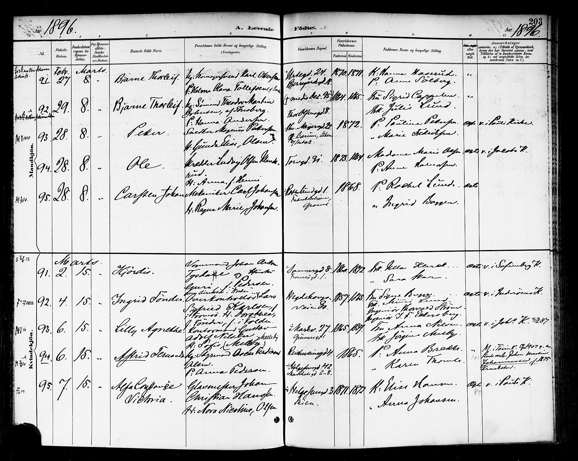 Rikshospitalet prestekontor Kirkebøker, SAO/A-10309b/F/L0009: Parish register (official) no. 9, 1894-1897, p. 203