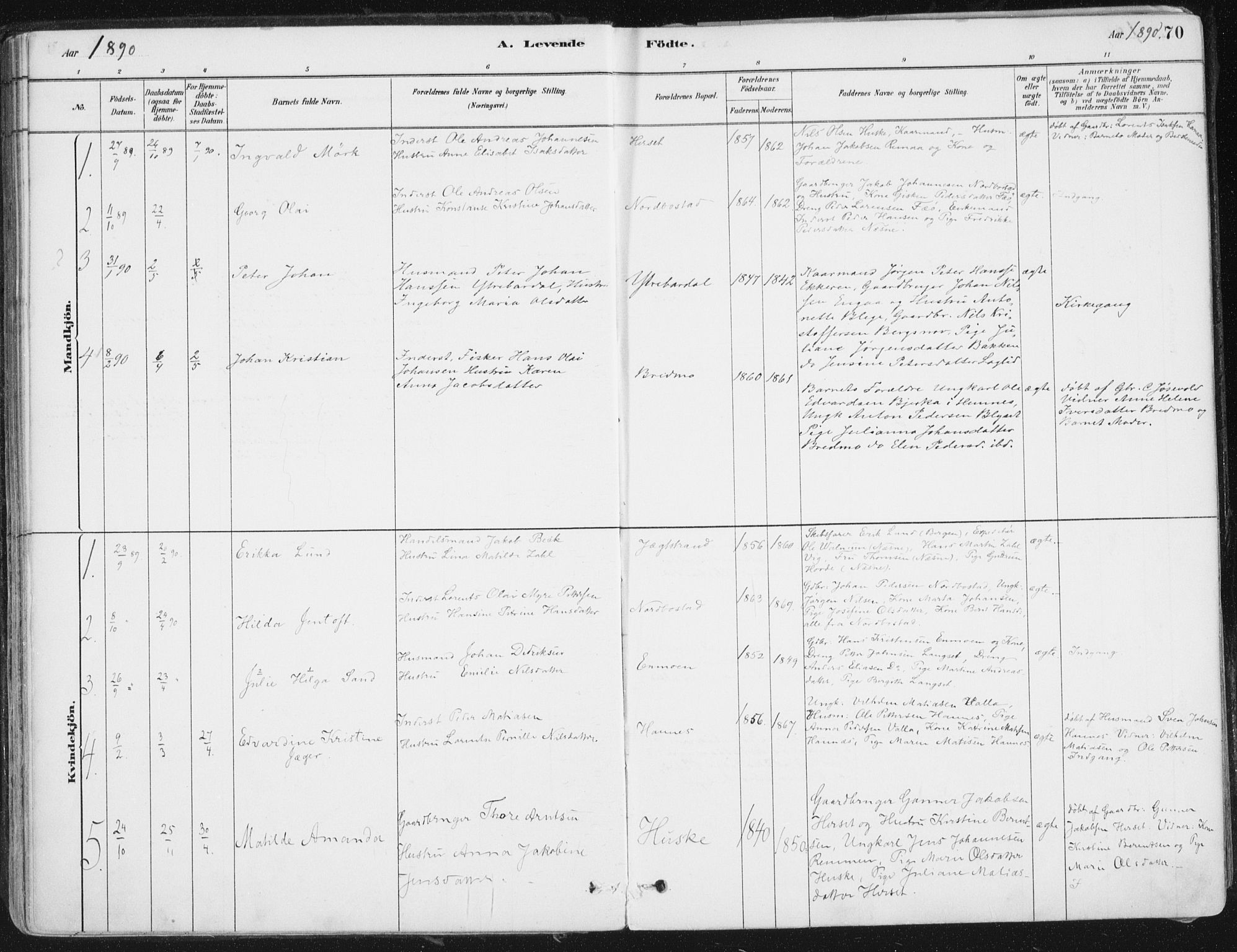 Ministerialprotokoller, klokkerbøker og fødselsregistre - Nordland, AV/SAT-A-1459/838/L0552: Parish register (official) no. 838A10, 1880-1910, p. 70