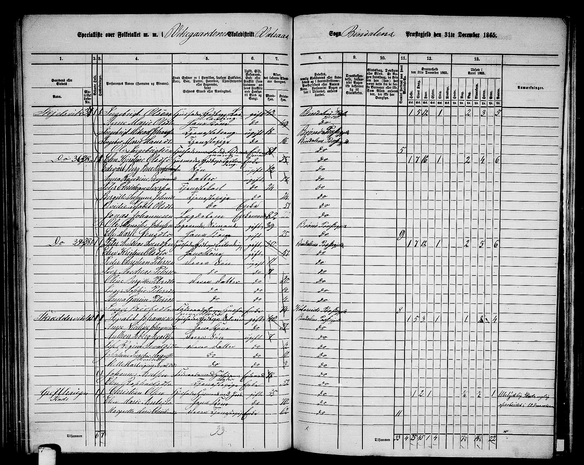 RA, 1865 census for Bindal, 1865, p. 79
