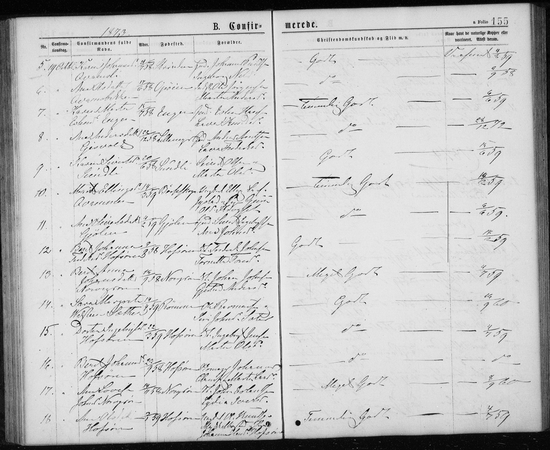 Ministerialprotokoller, klokkerbøker og fødselsregistre - Sør-Trøndelag, AV/SAT-A-1456/668/L0817: Parish register (copy) no. 668C06, 1873-1884, p. 155