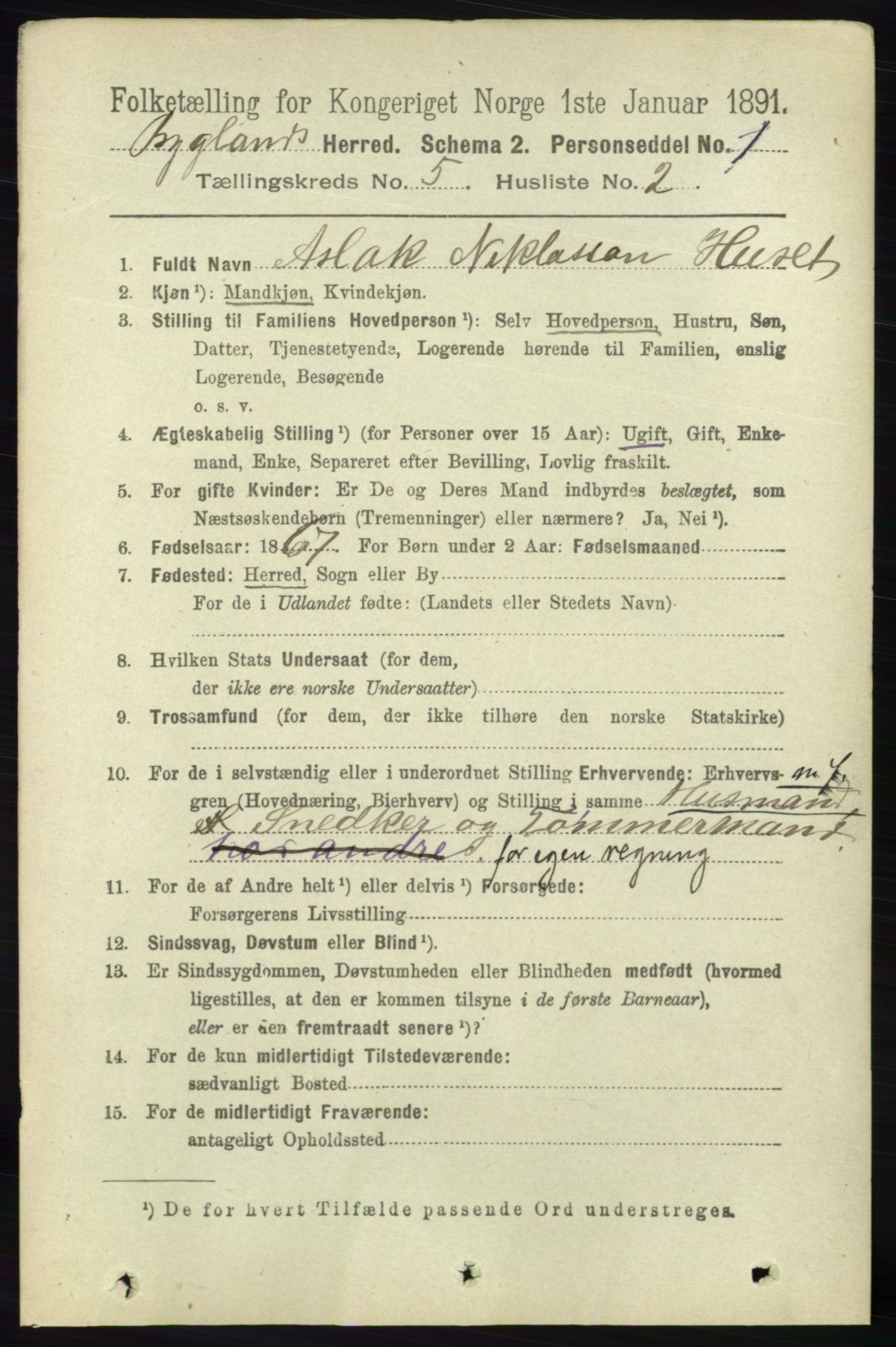 RA, 1891 census for 0938 Bygland, 1891, p. 1056