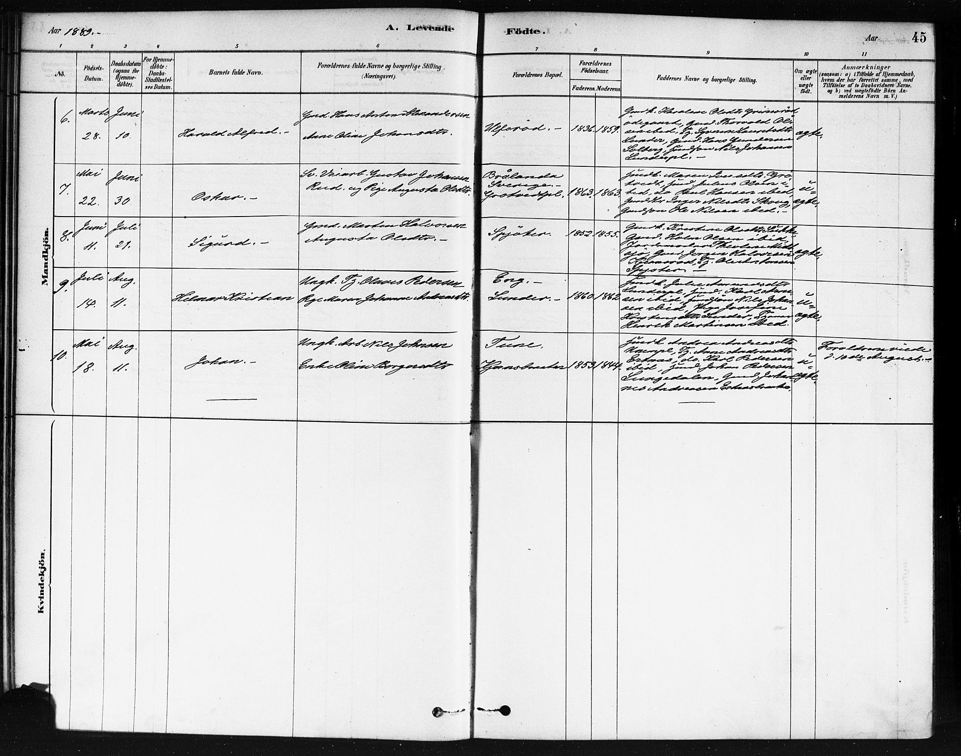 Våler prestekontor Kirkebøker, SAO/A-11083/F/Fb/L0001: Parish register (official) no. II 1, 1878-1896, p. 45