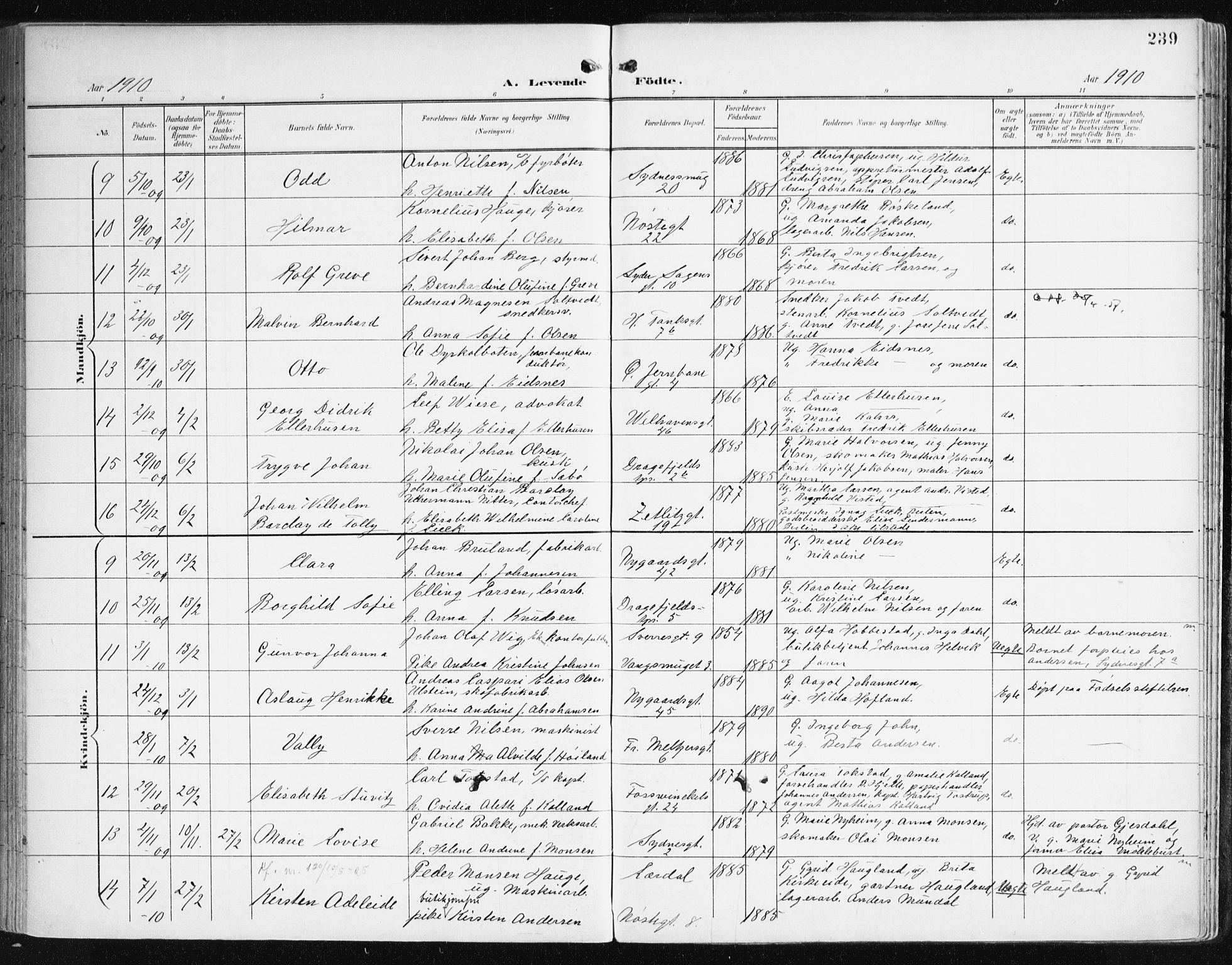 Johanneskirken sokneprestembete, AV/SAB-A-76001/H/Haa/L0002: Parish register (official) no. A 2, 1900-1912, p. 239