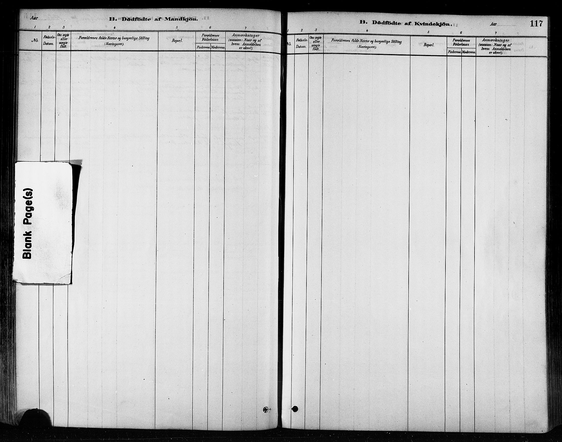 Ministerialprotokoller, klokkerbøker og fødselsregistre - Nord-Trøndelag, SAT/A-1458/746/L0448: Parish register (official) no. 746A07 /1, 1878-1900, p. 117