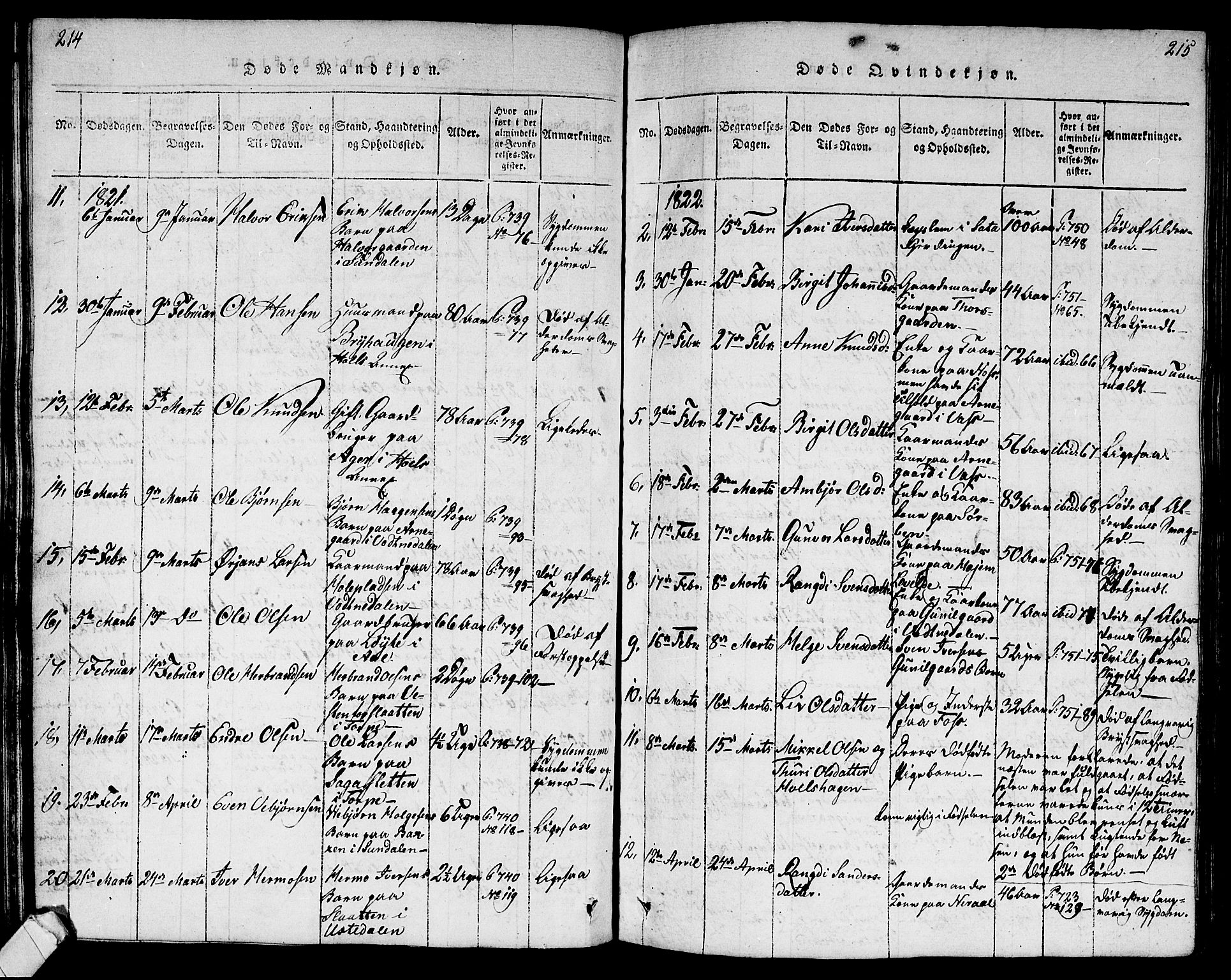 Ål kirkebøker, AV/SAKO-A-249/G/Ga/L0001: Parish register (copy) no. 1, 1815-1829, p. 214-215