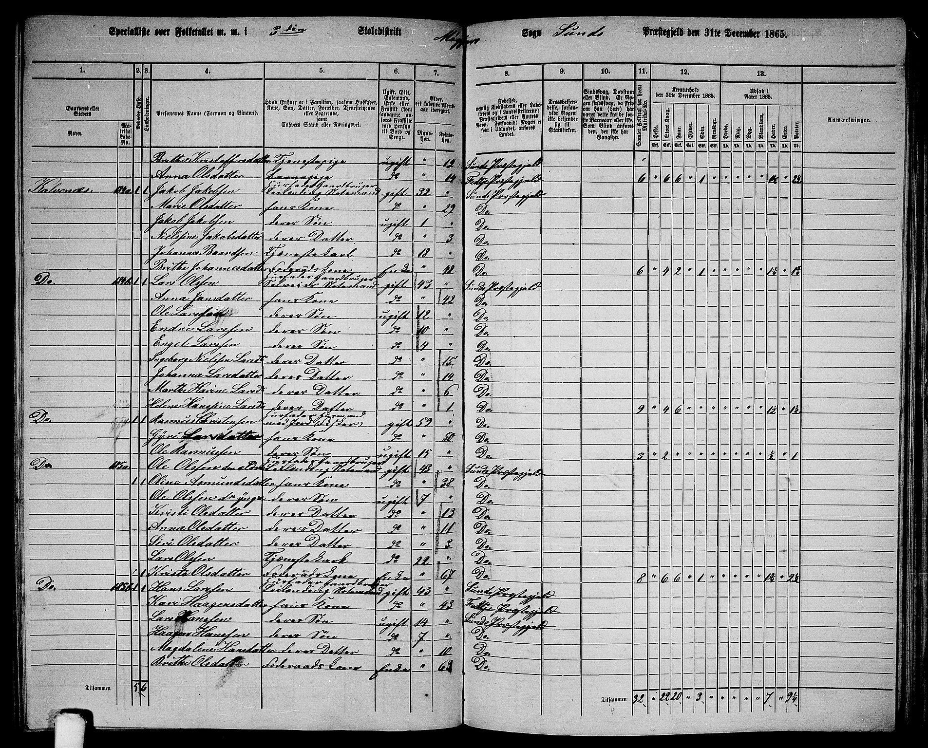 RA, 1865 census for Sund, 1865, p. 145