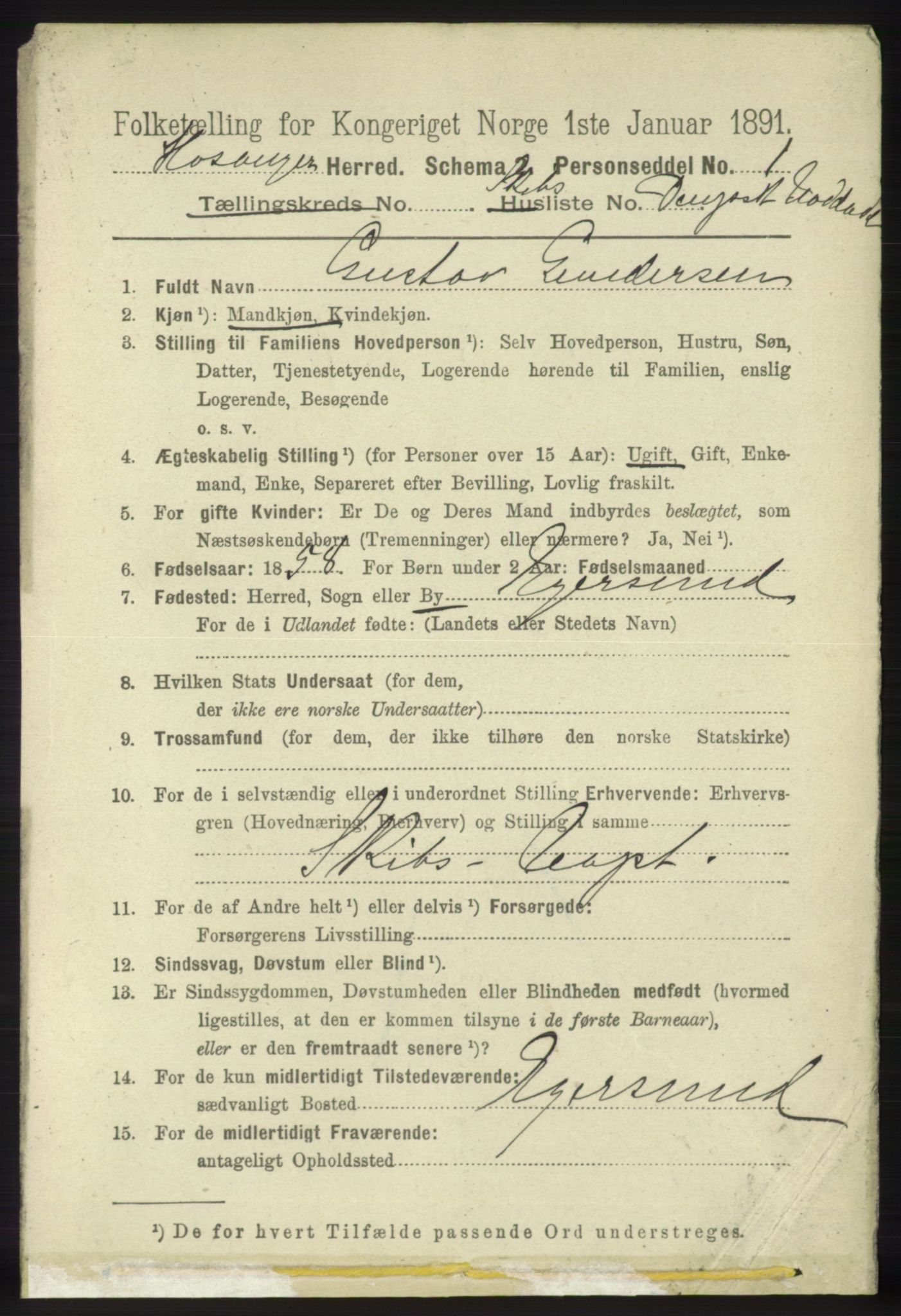 RA, 1891 census for 1253 Hosanger, 1891, p. 4275