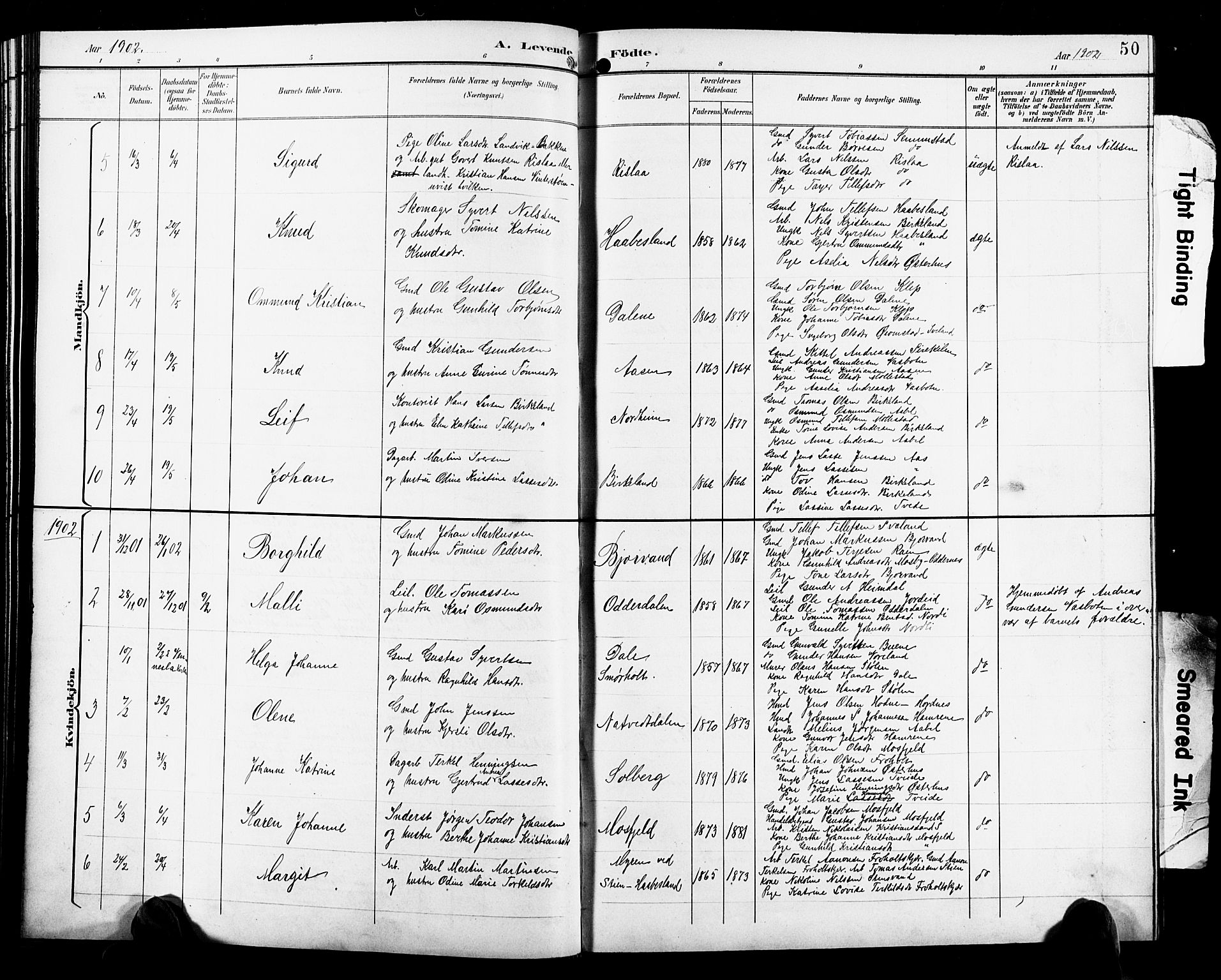Birkenes sokneprestkontor, SAK/1111-0004/F/Fb/L0004: Parish register (copy) no. B 4, 1893-1930, p. 50