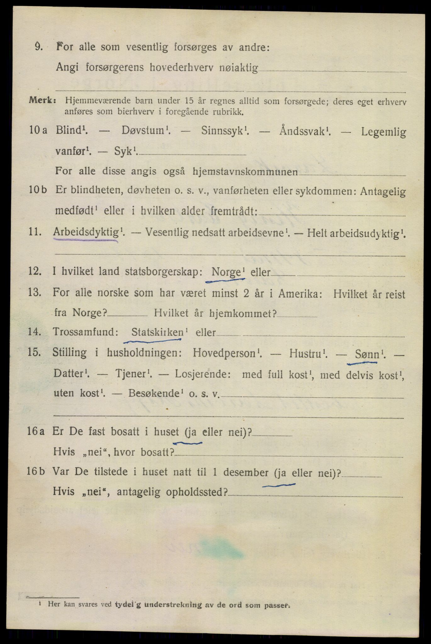 SAKO, 1920 census for Larvik, 1920, p. 28311