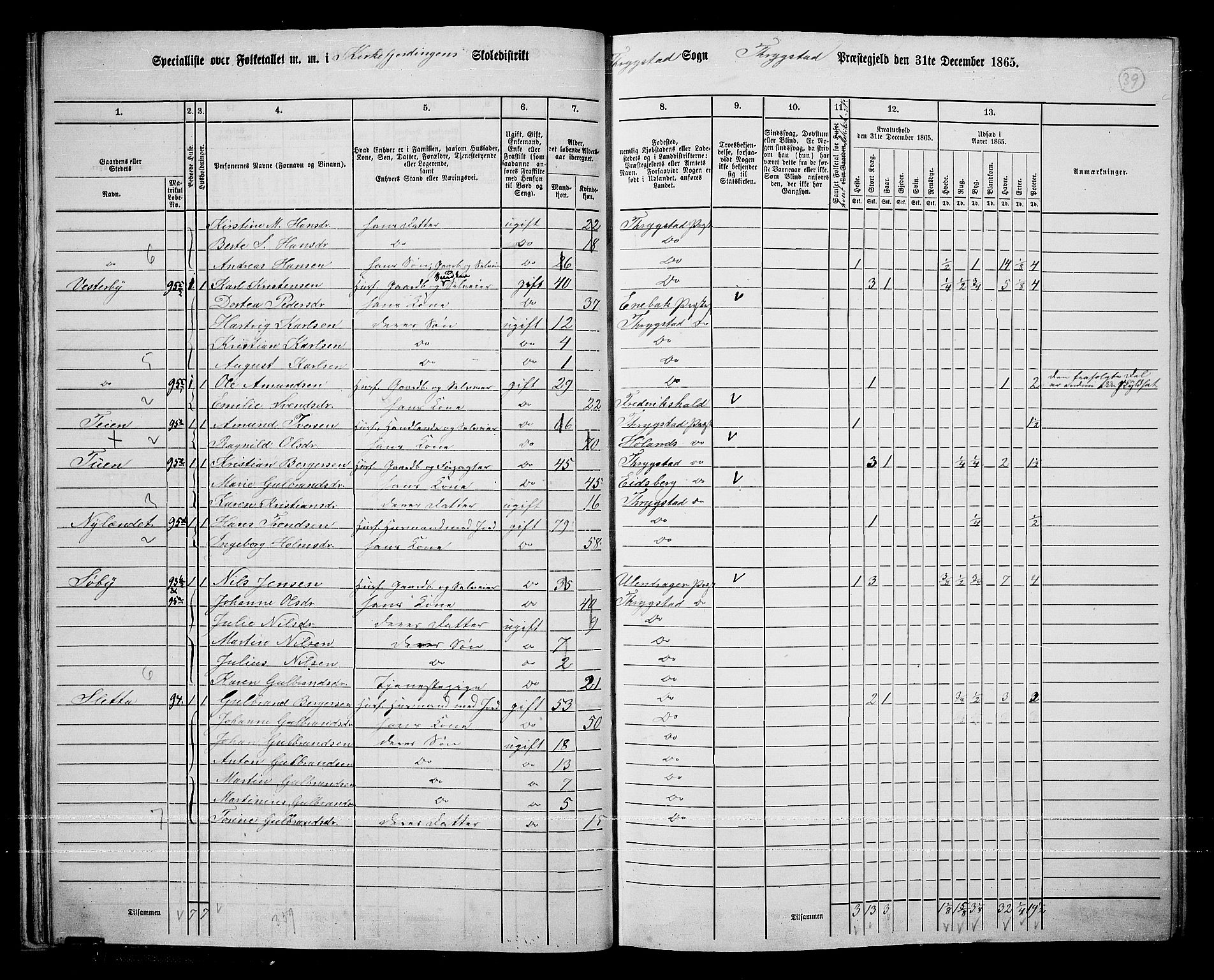 RA, 1865 census for Trøgstad, 1865, p. 38