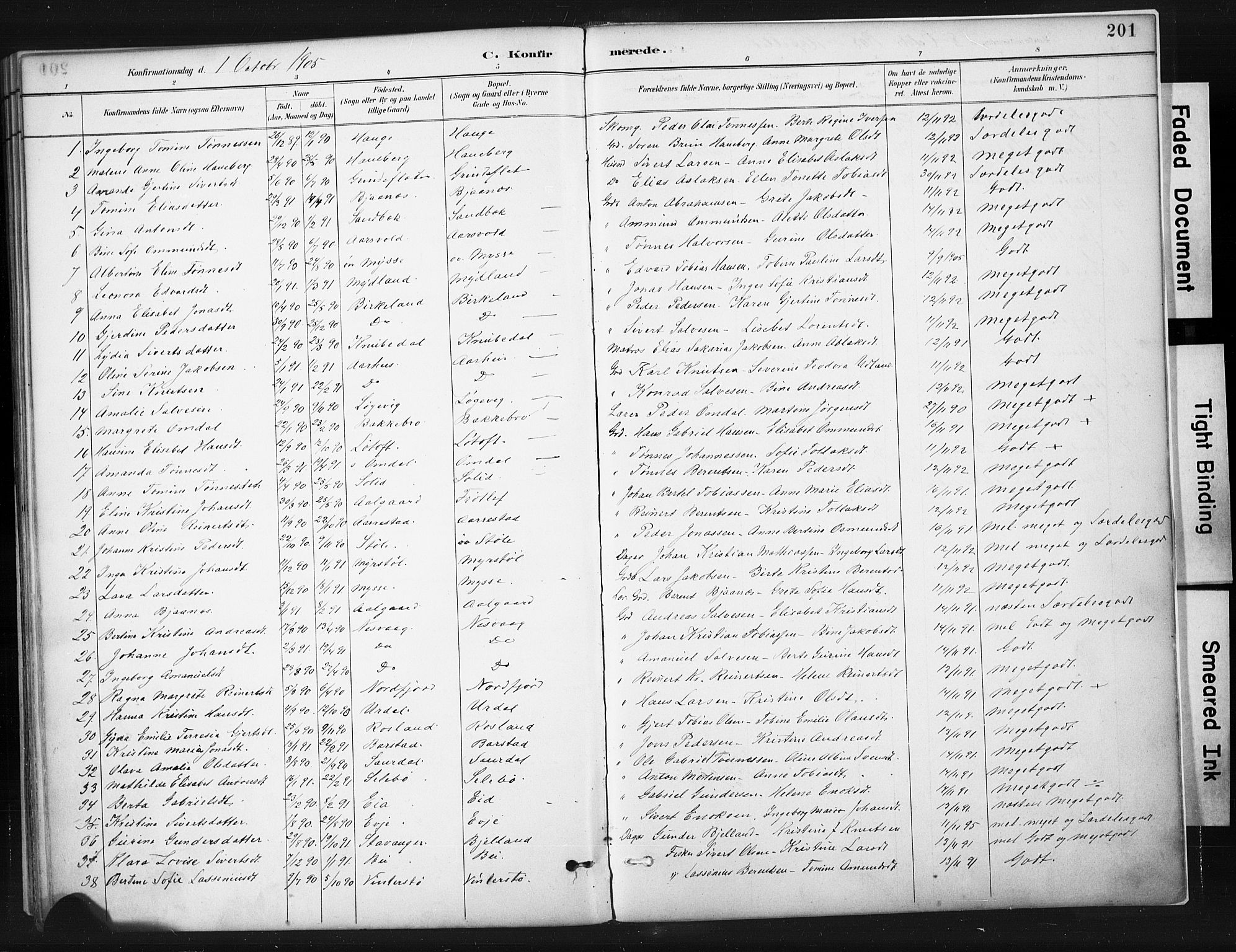 Sokndal sokneprestkontor, AV/SAST-A-101808: Parish register (official) no. A 11.1, 1887-1905, p. 201