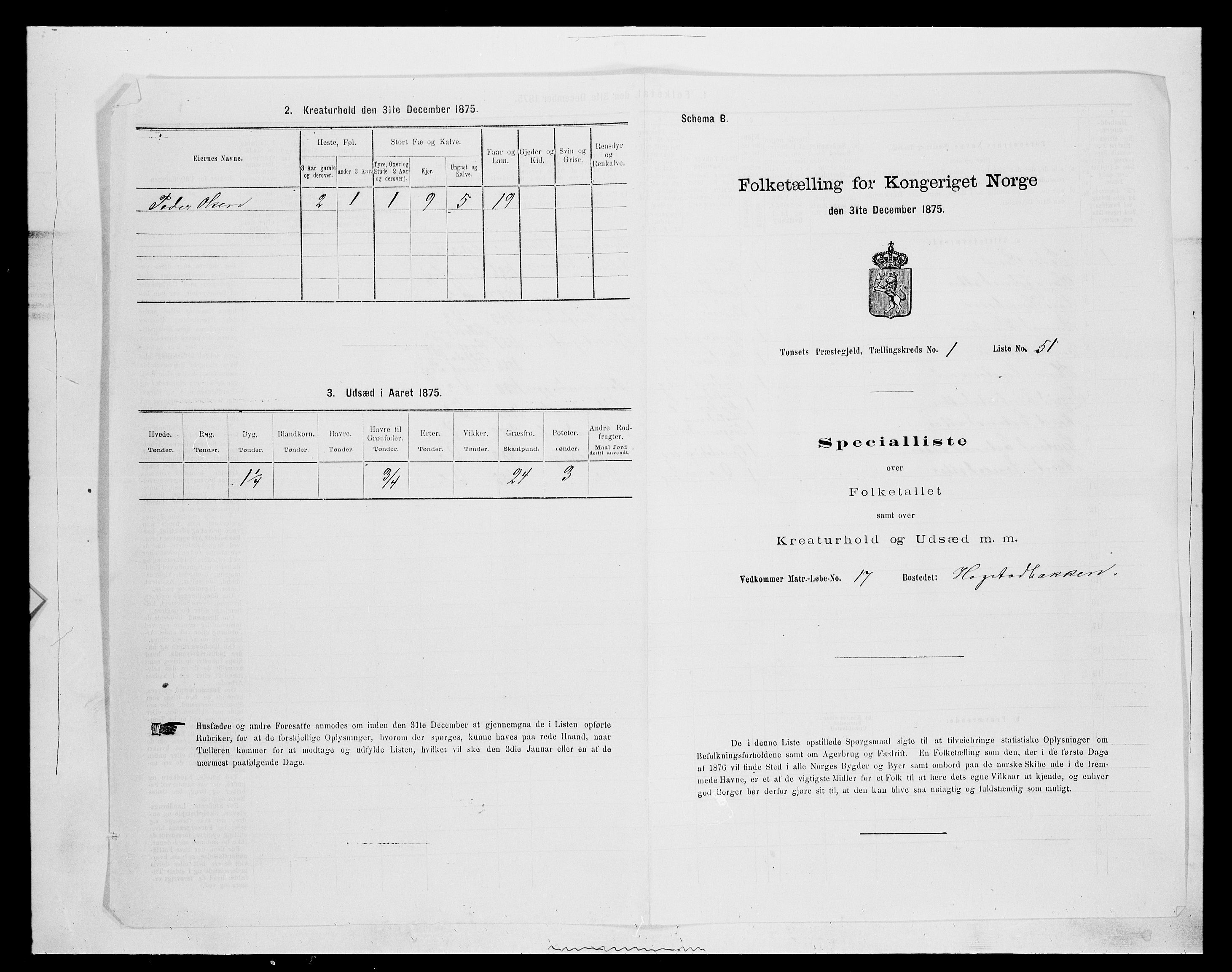 SAH, 1875 census for 0437P Tynset, 1875, p. 298