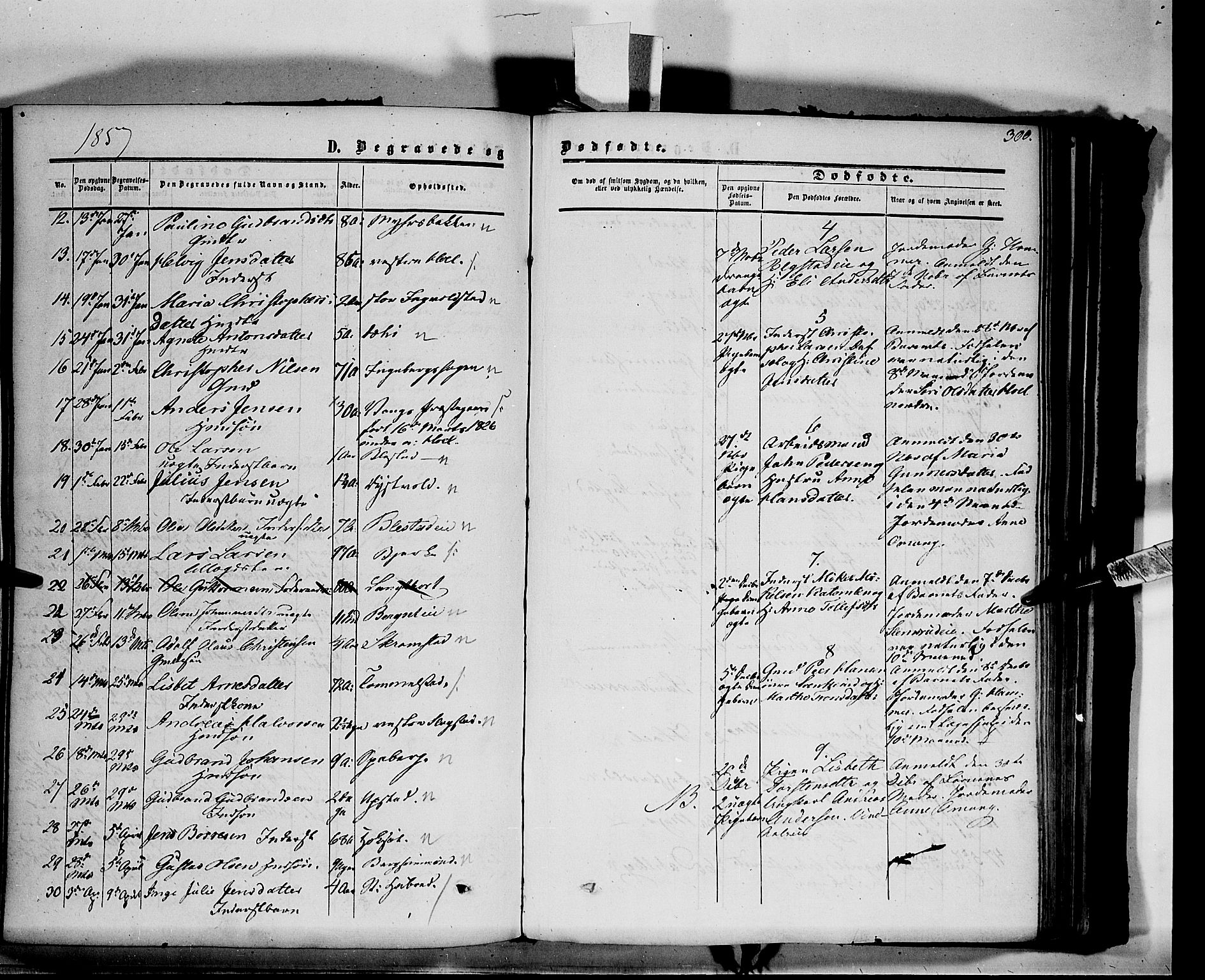 Vang prestekontor, Hedmark, AV/SAH-PREST-008/H/Ha/Haa/L0012: Parish register (official) no. 12, 1855-1870, p. 300