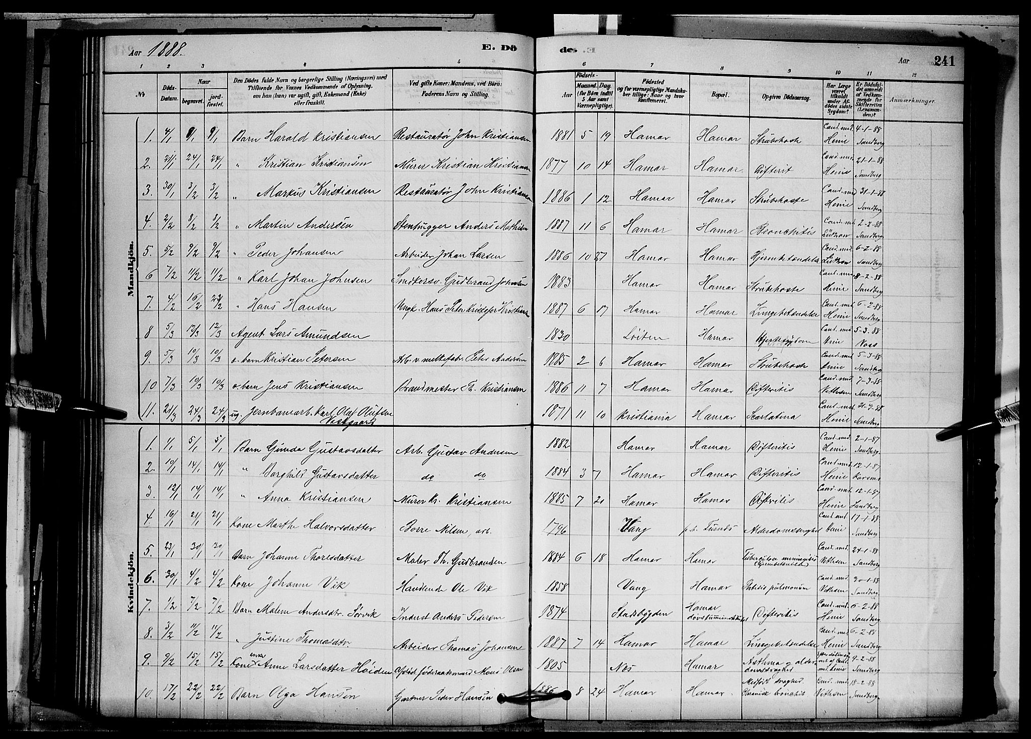 Vang prestekontor, Hedmark, SAH/PREST-008/H/Ha/Hab/L0012: Parish register (copy) no. 12, 1878-1889, p. 241