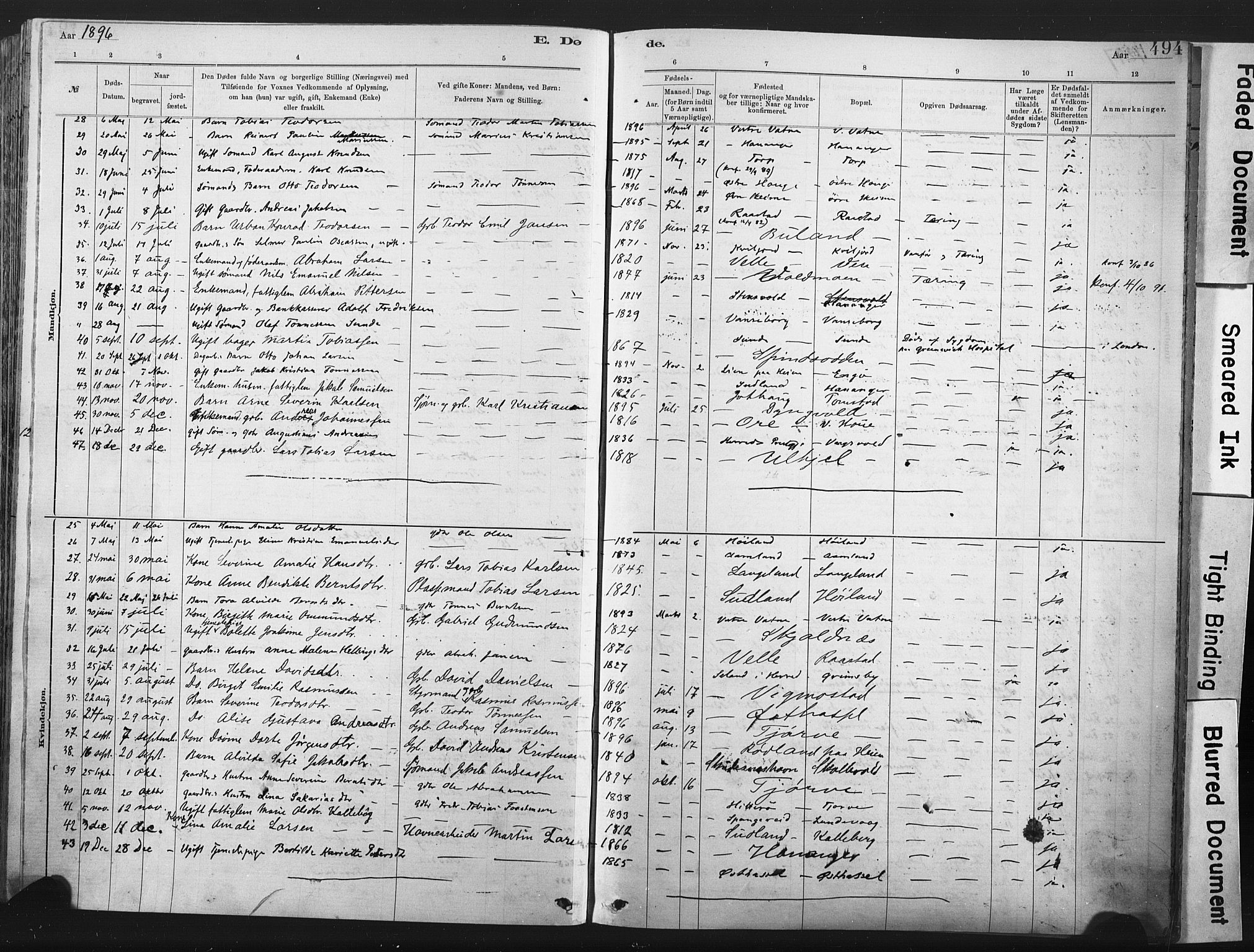 Lista sokneprestkontor, AV/SAK-1111-0027/F/Fa/L0012: Parish register (official) no. A 12, 1879-1903, p. 494