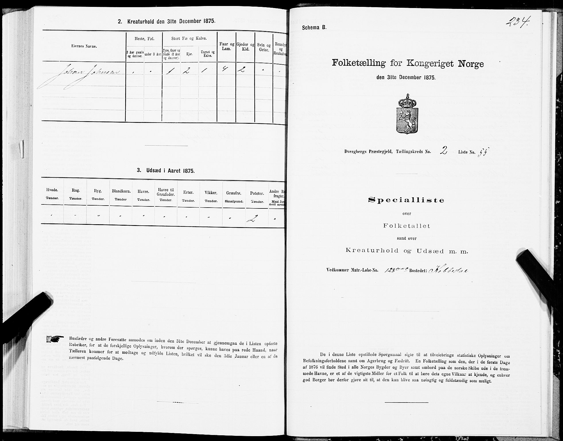 SAT, 1875 census for 1872P Dverberg, 1875, p. 1234