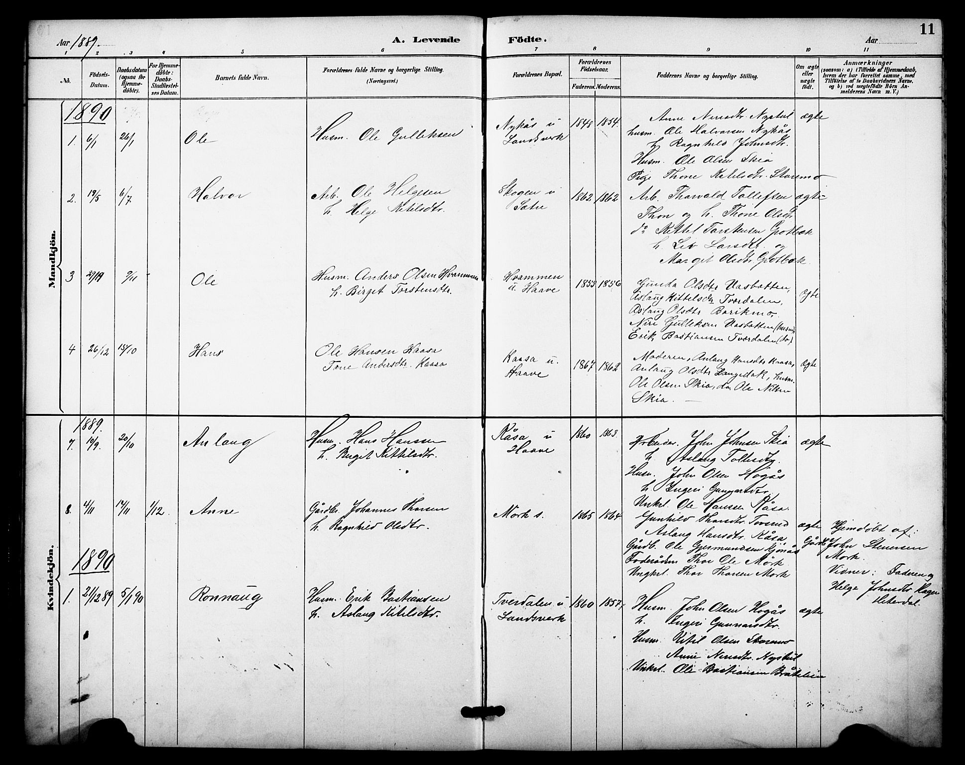 Heddal kirkebøker, SAKO/A-268/F/Fb/L0001: Parish register (official) no. II 1, 1884-1910, p. 11