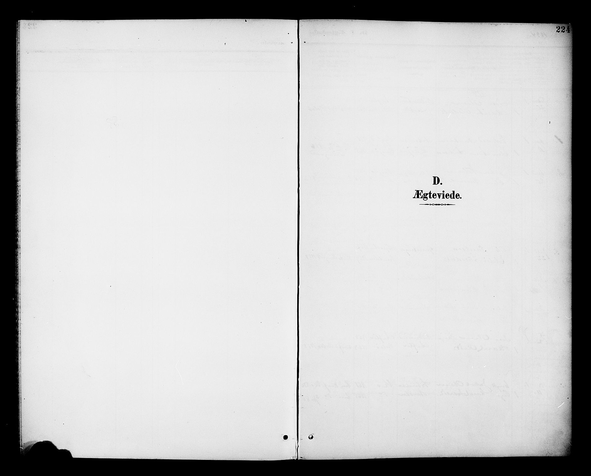 Ministerialprotokoller, klokkerbøker og fødselsregistre - Møre og Romsdal, SAT/A-1454/551/L0632: Parish register (copy) no. 551C04, 1894-1920, p. 224