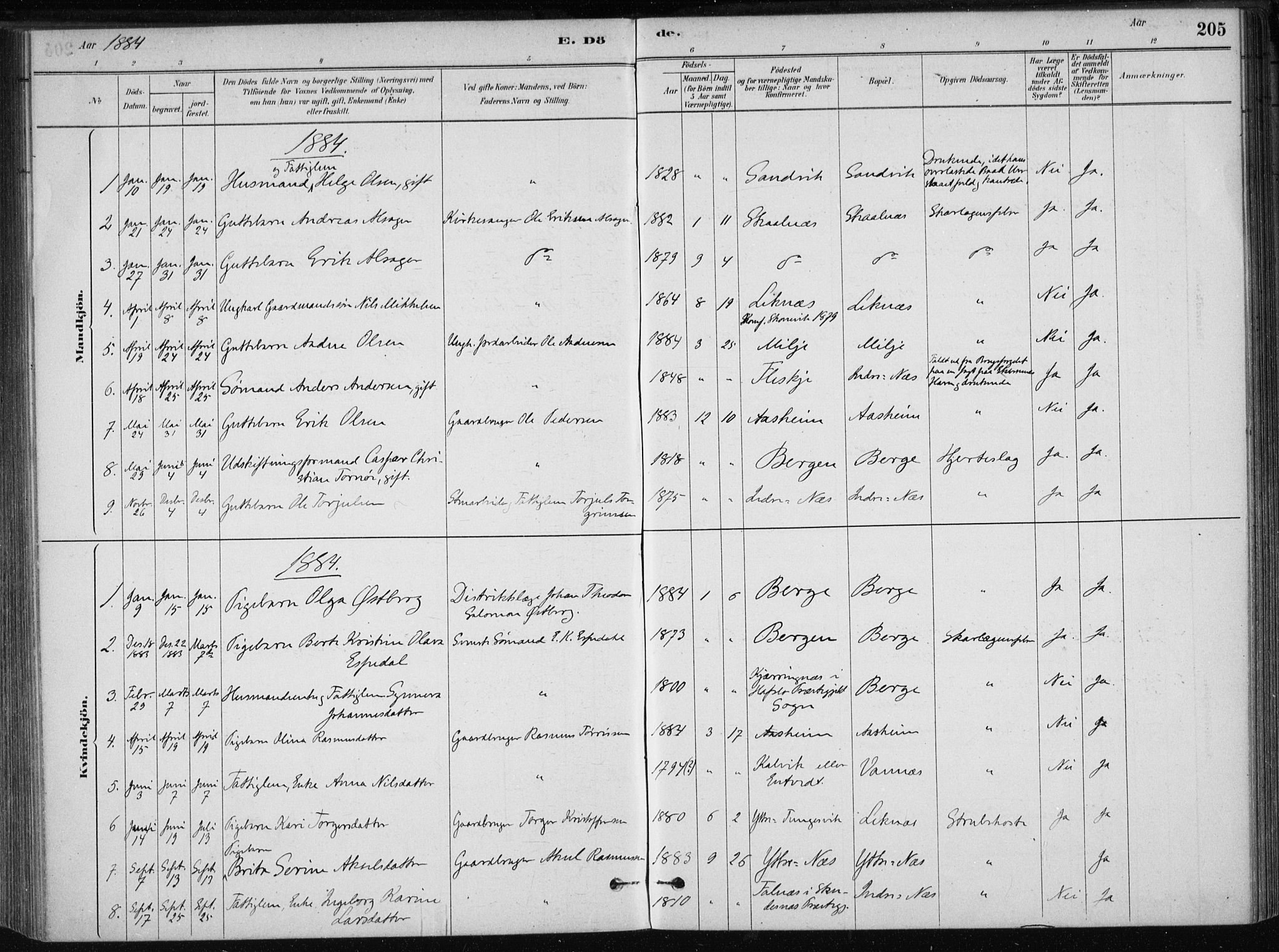 Skånevik sokneprestembete, SAB/A-77801/H/Haa: Parish register (official) no. B 1, 1879-1914, p. 205