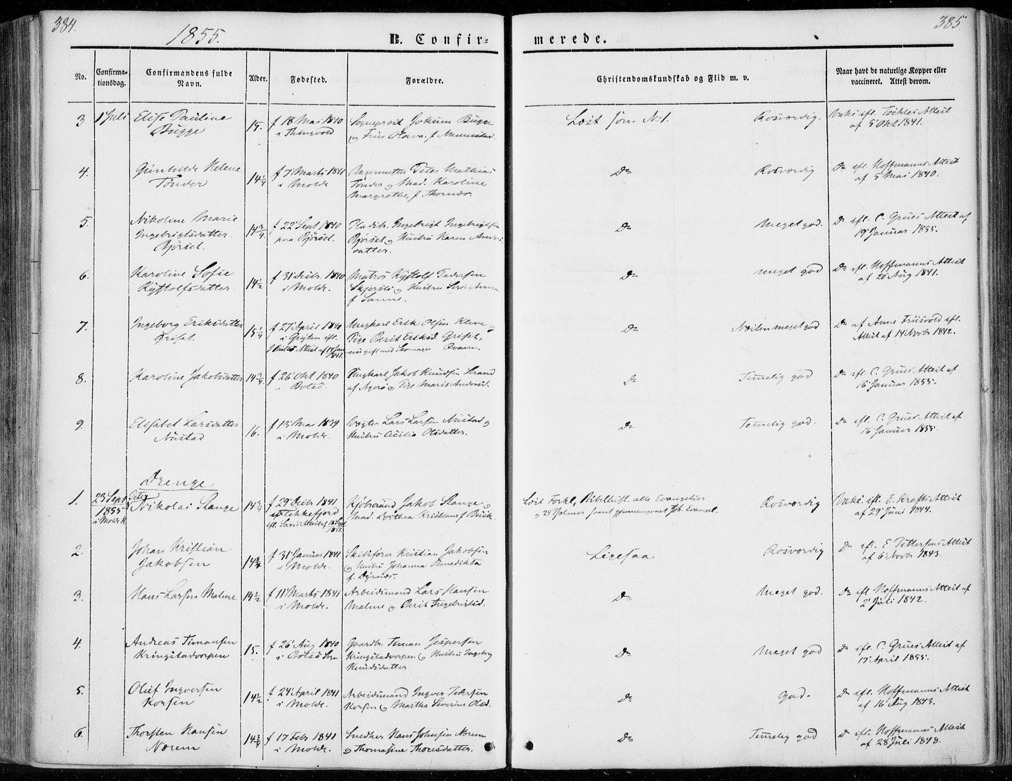 Ministerialprotokoller, klokkerbøker og fødselsregistre - Møre og Romsdal, AV/SAT-A-1454/558/L0689: Parish register (official) no. 558A03, 1843-1872, p. 384-385