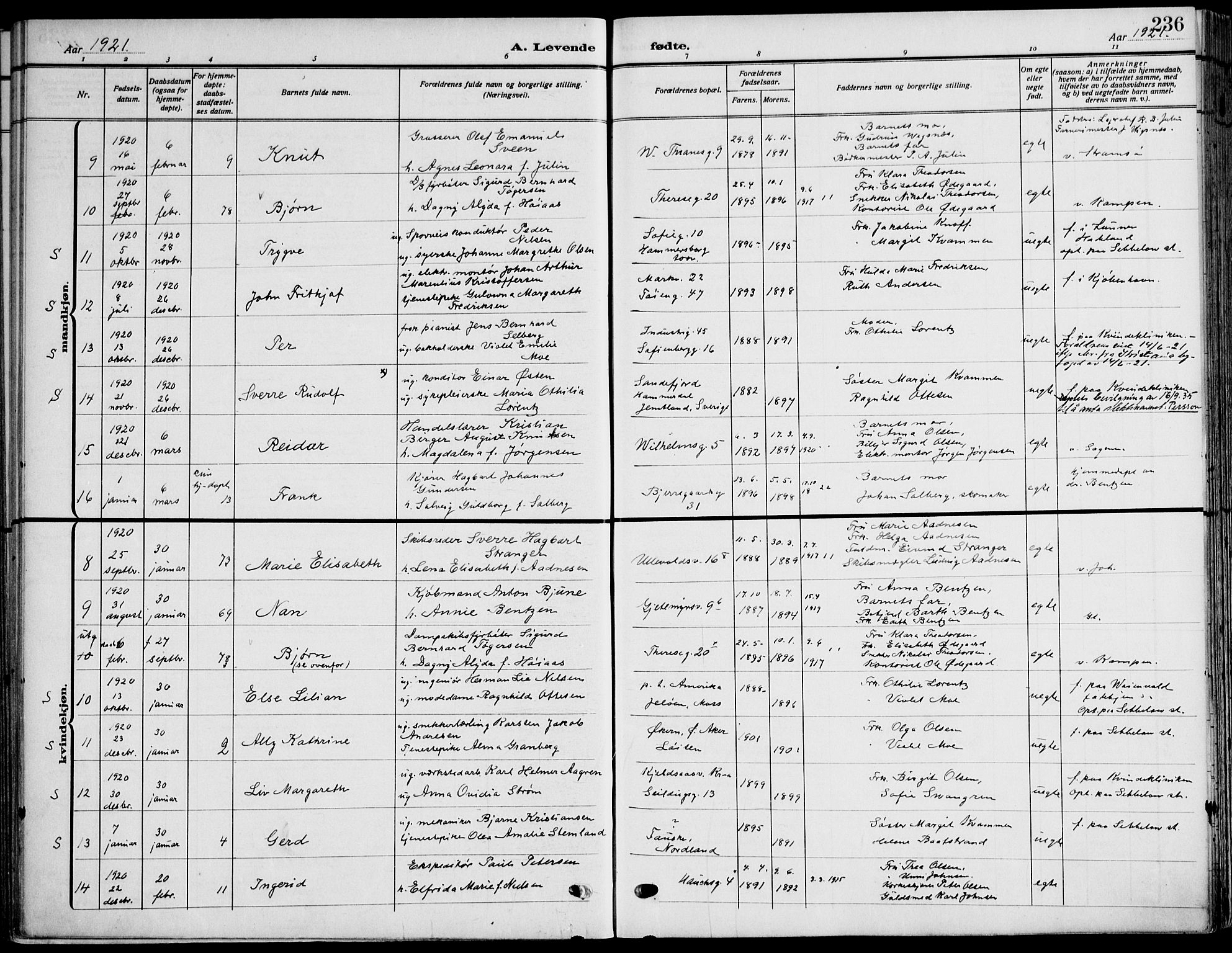 Gamle Aker prestekontor Kirkebøker, SAO/A-10617a/F/L0014: Parish register (official) no. 14, 1909-1924, p. 236