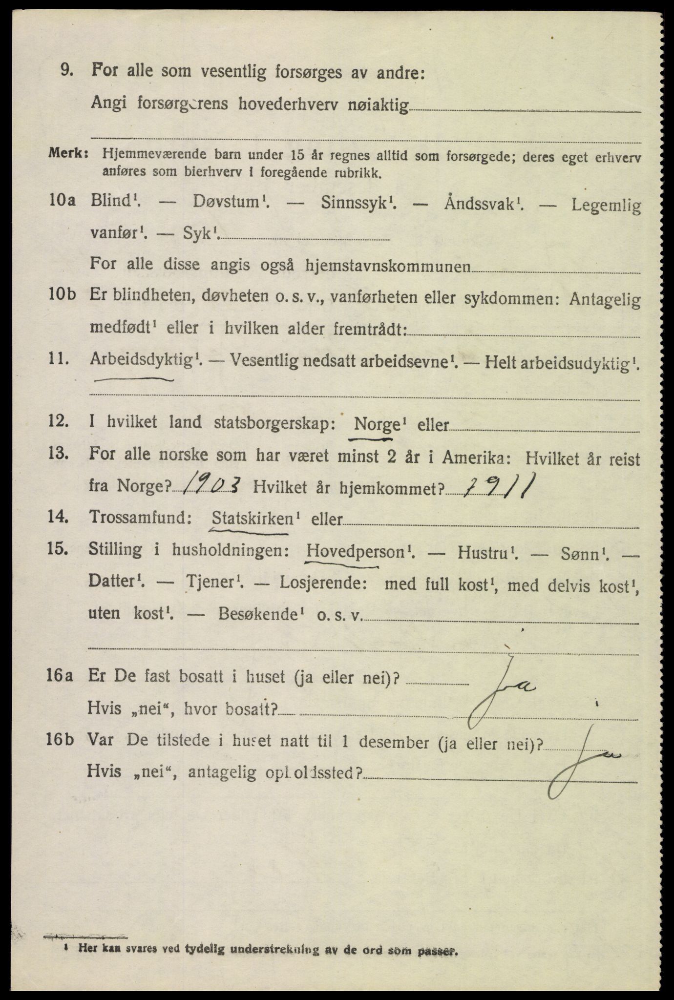 SAH, 1920 census for Tynset, 1920, p. 9199