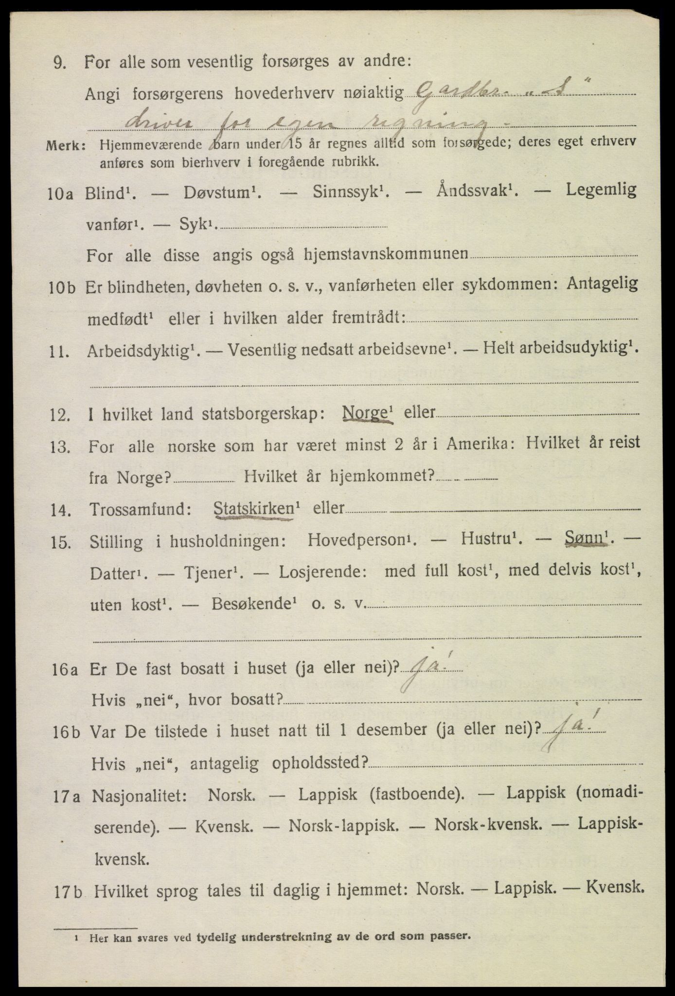 SAT, 1920 census for Borge, 1920, p. 10294